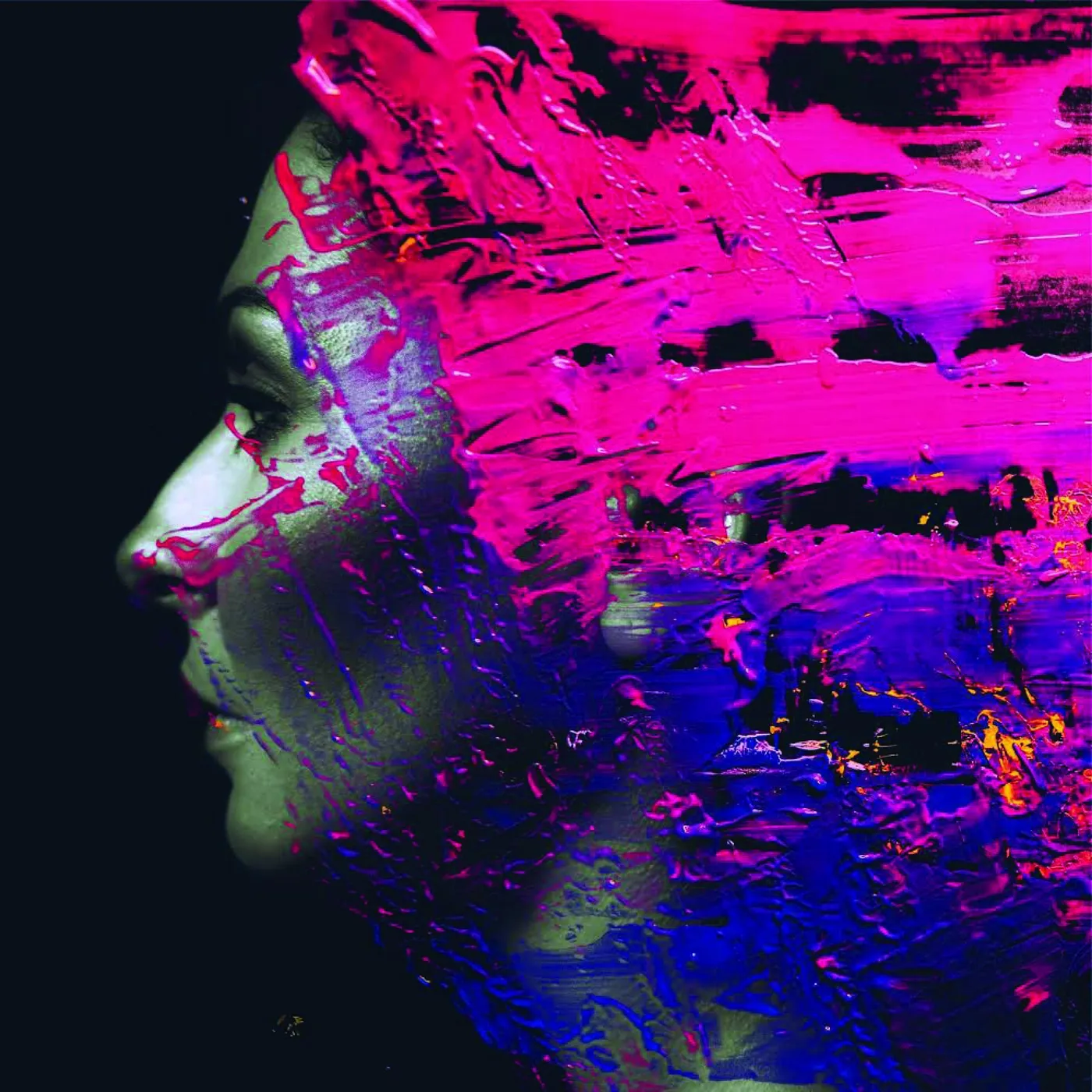 Steven Wilson HAND.CANNOT.ERASE Vinyl Record