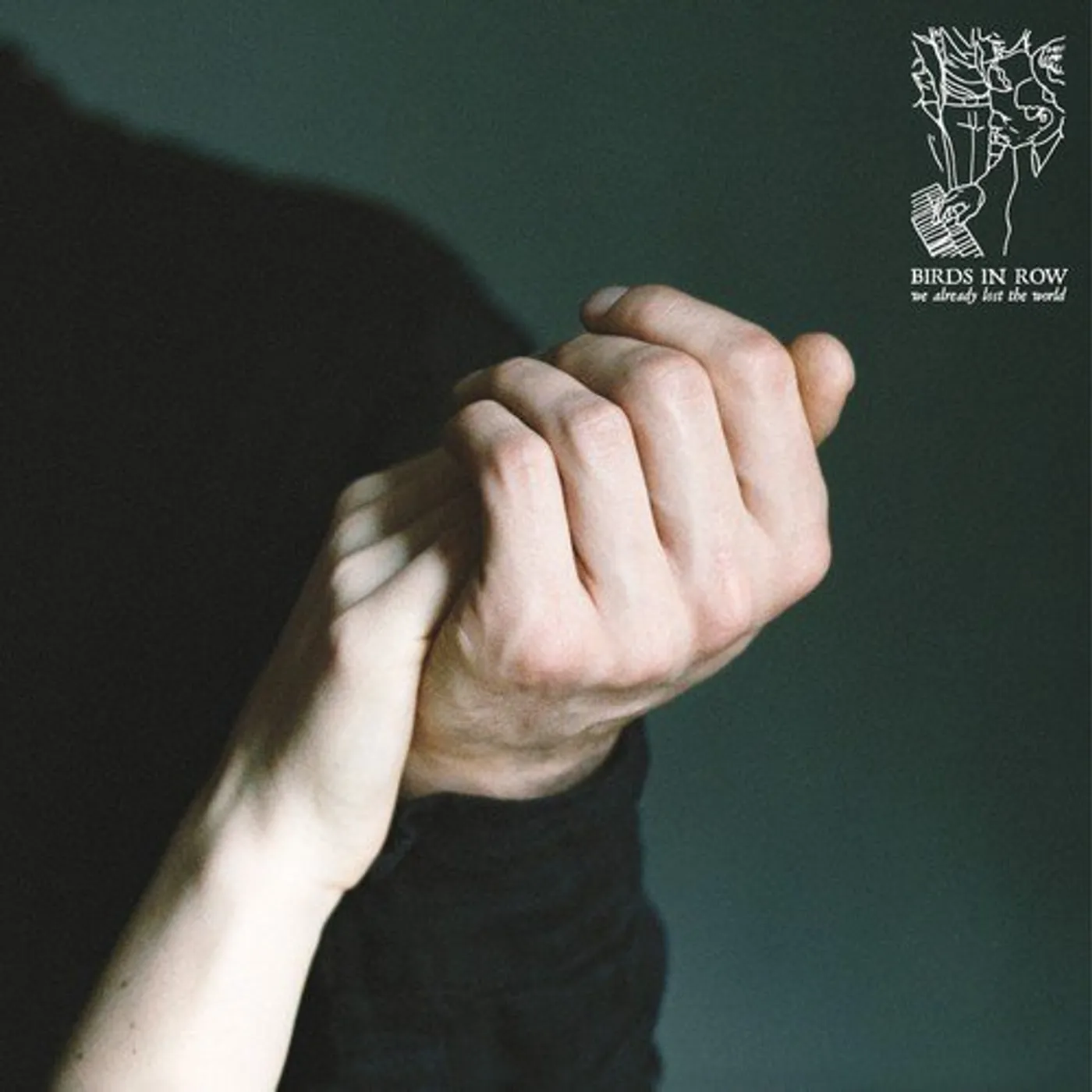 Birds in Row We Already Lost The World Vinyl Record