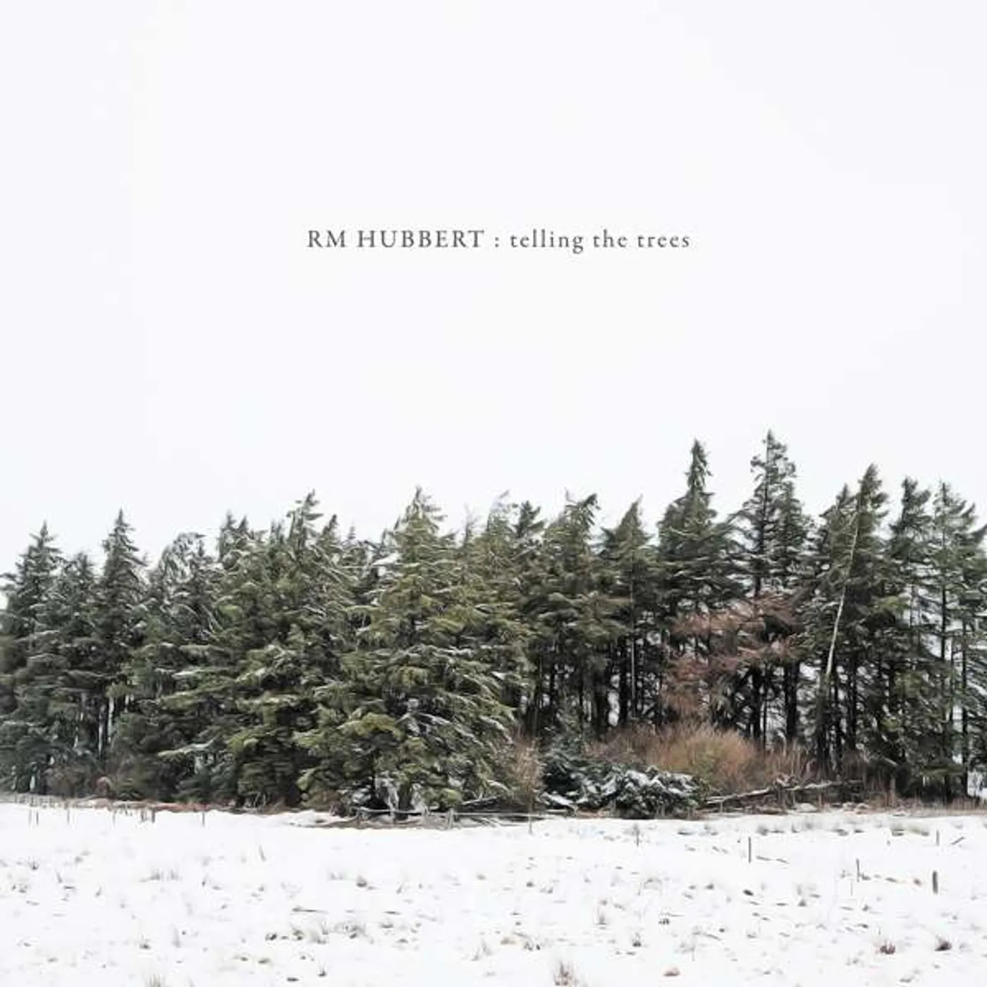 RM Hubbert Telling the trees Vinyl Record