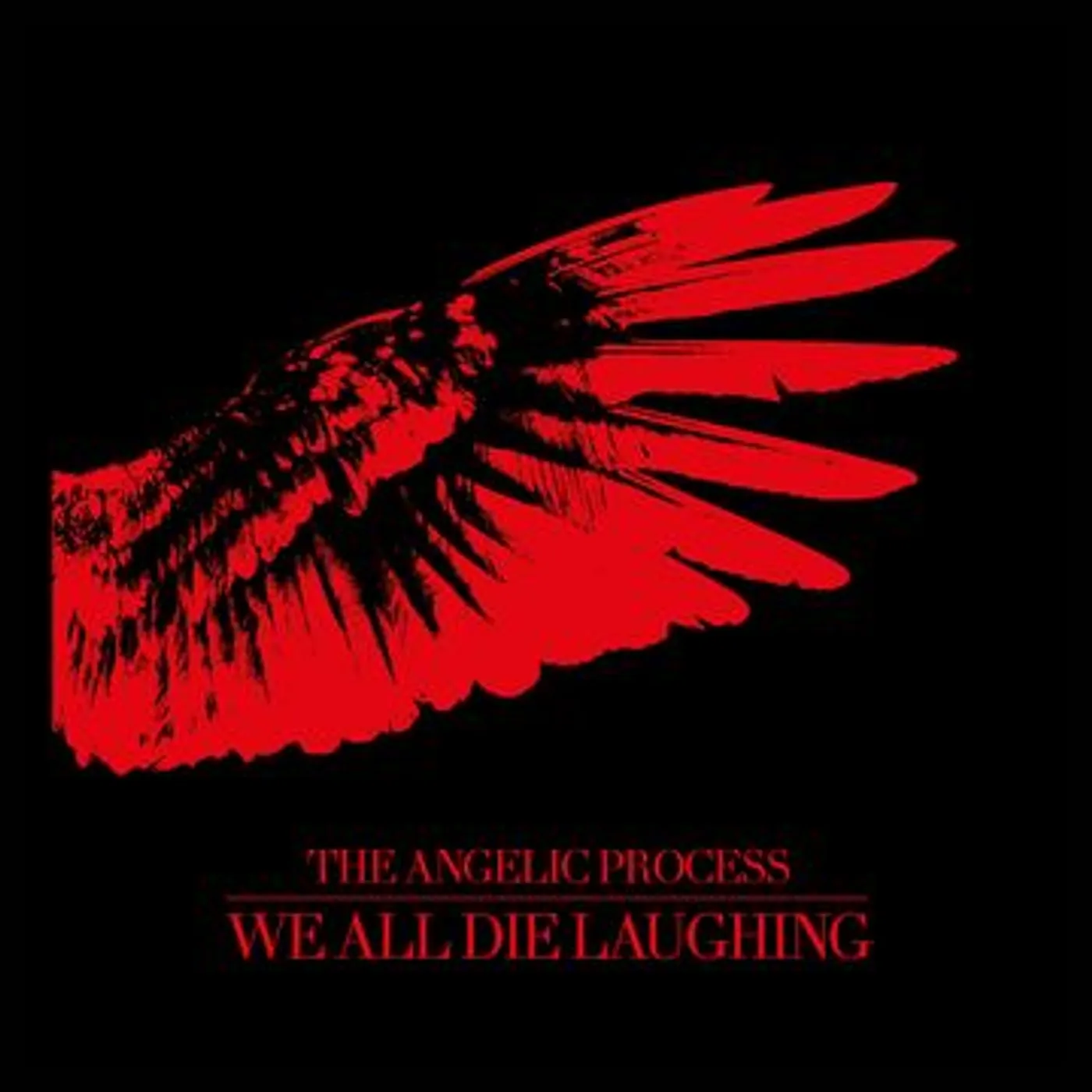 The Angelic Process We All Die Laughing Box Set Vinyl Record