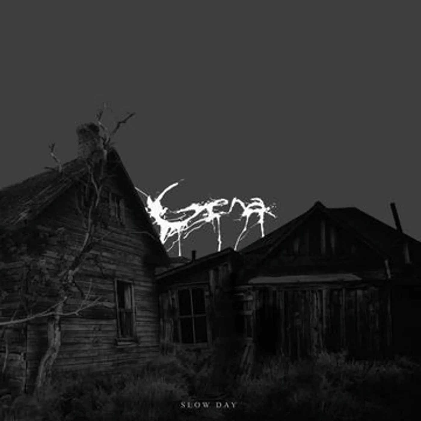 Gena Slow day Vinyl Record