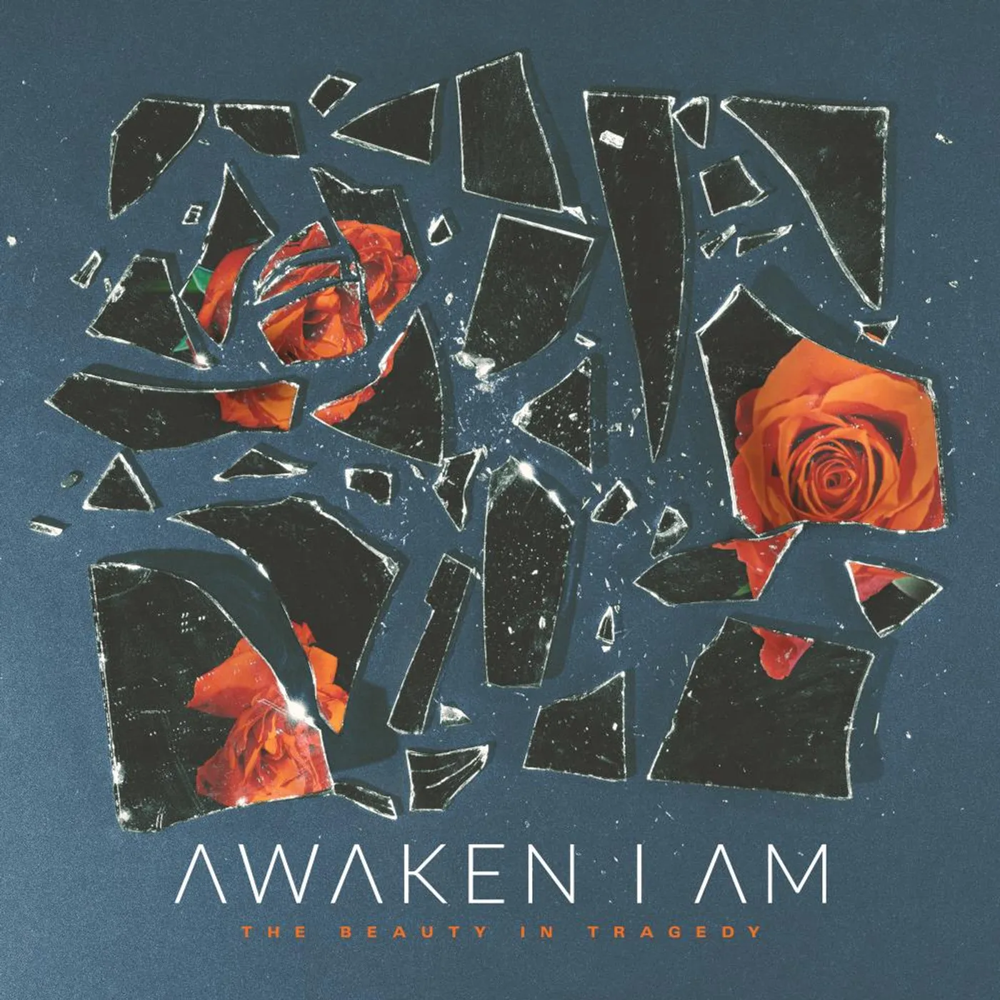 Awaken I Am Beauty In Tragedy Vinyl Record