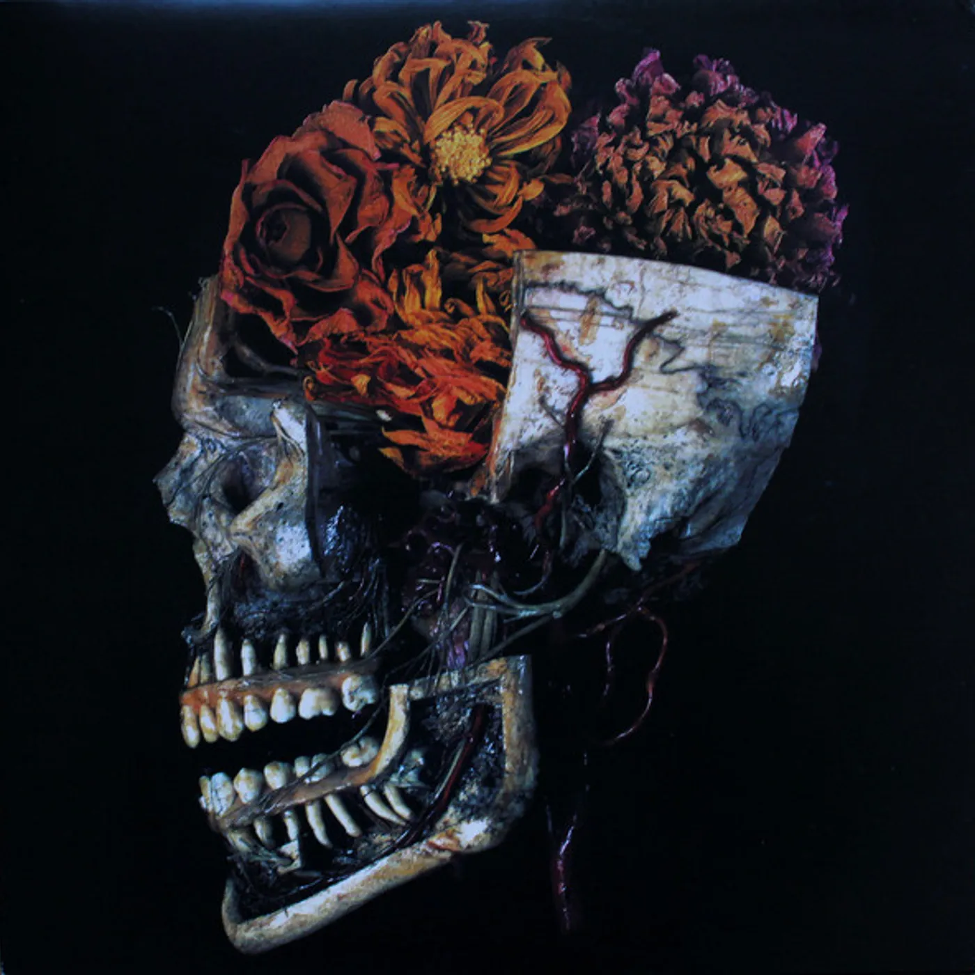 Kingdom Hemeltraan Vinyl Record