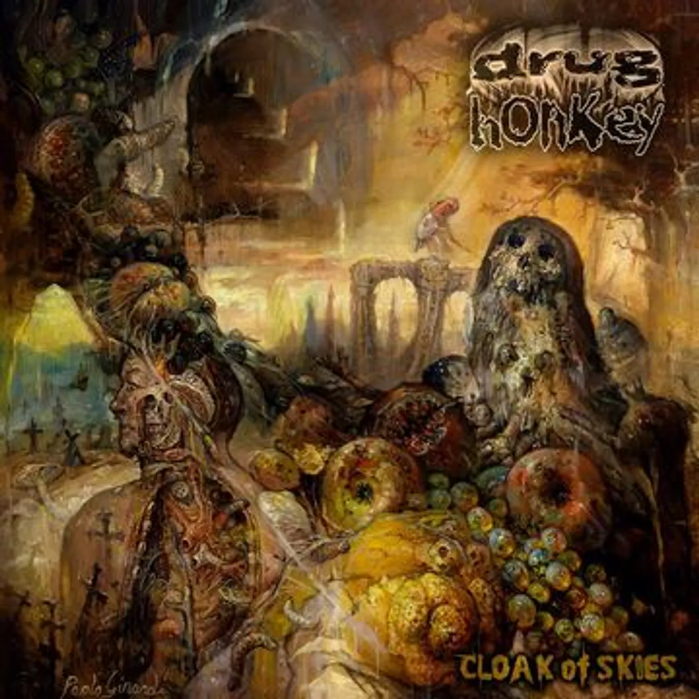 Drug Honkey Cloak of Skies Vinyl Record