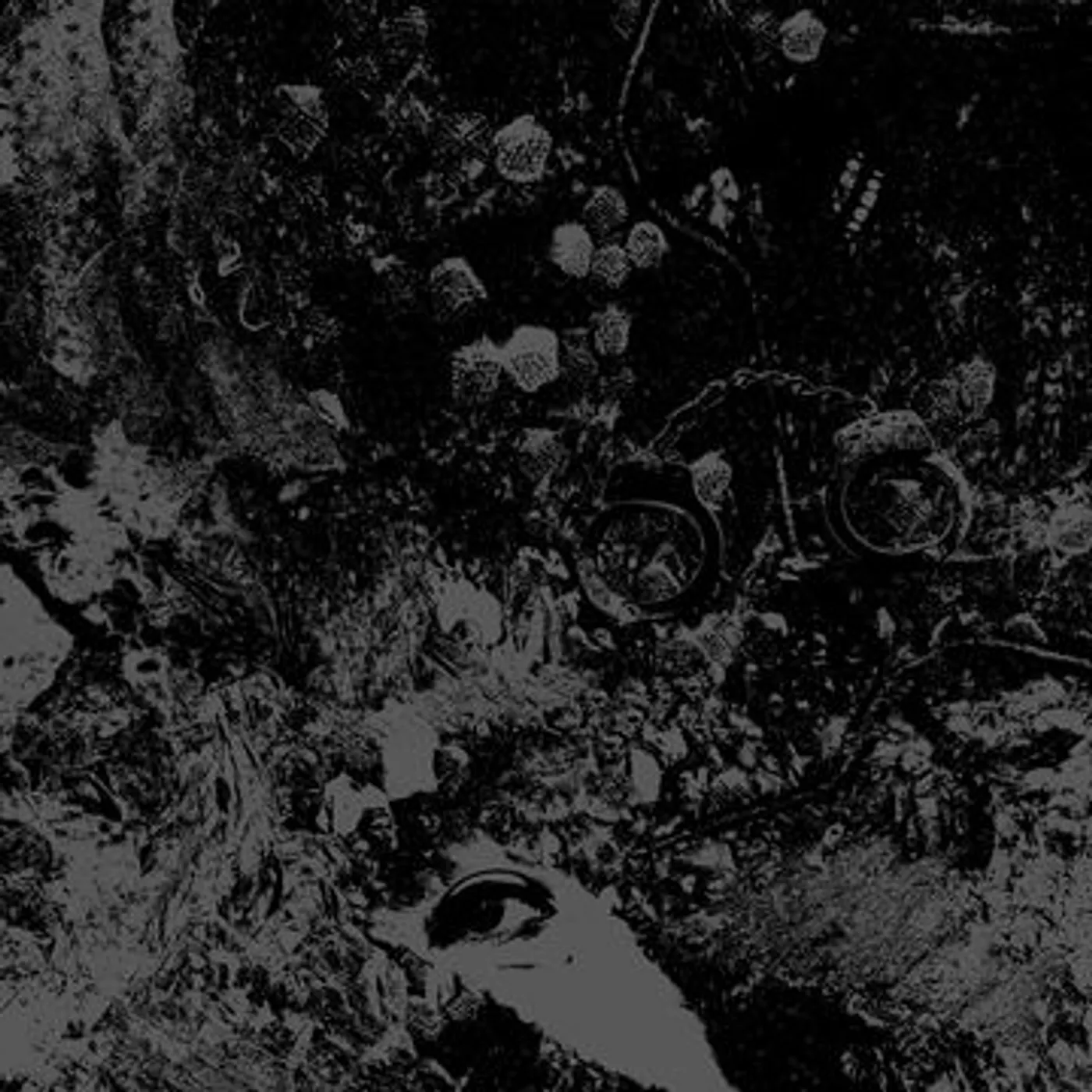 Primitive Man/Unearthly Trance Split Vinyl Record