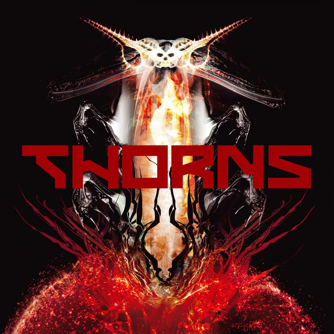 Thorns Vinyl Record