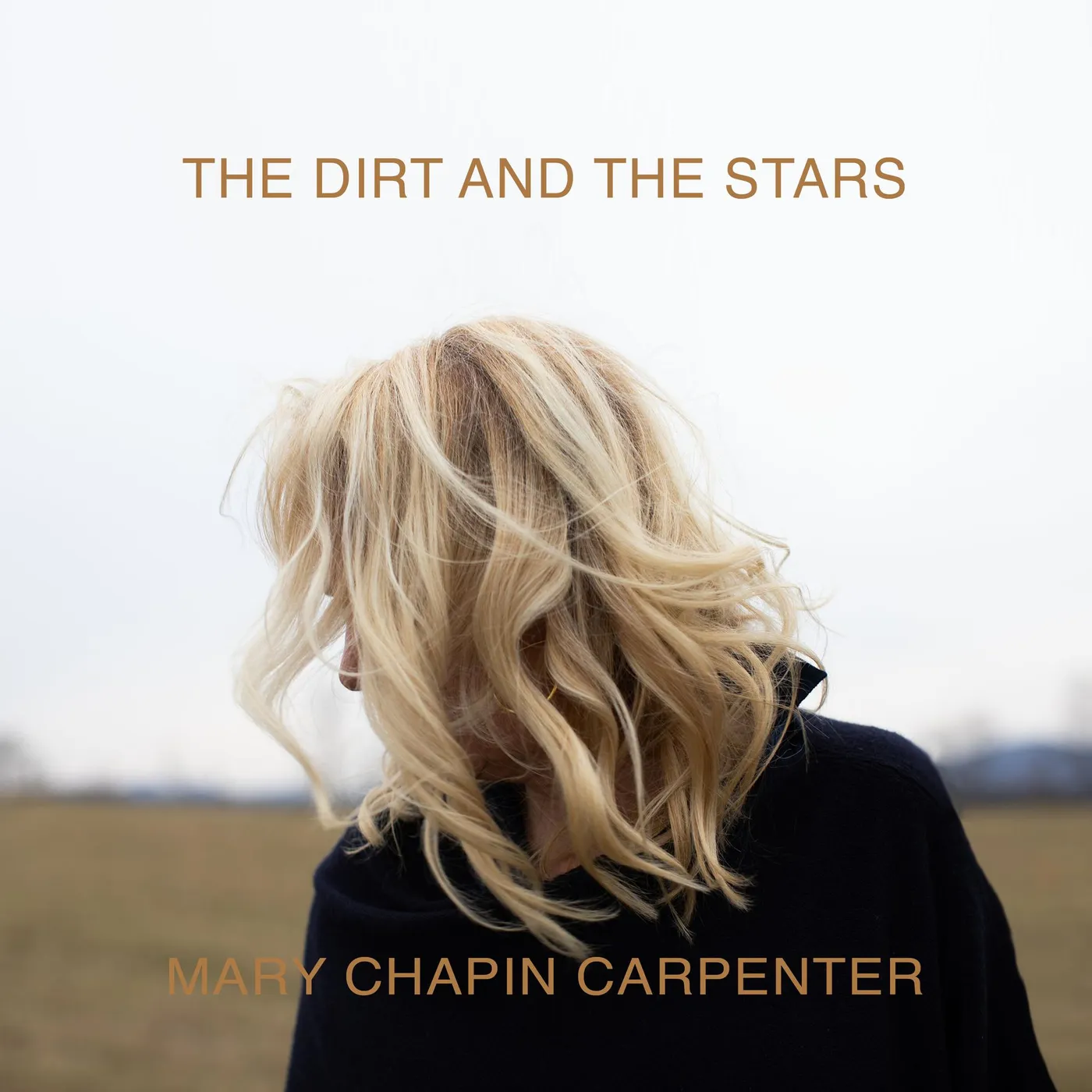 Mary Chapin Carpenter DIRT & THE STARS Vinyl Record