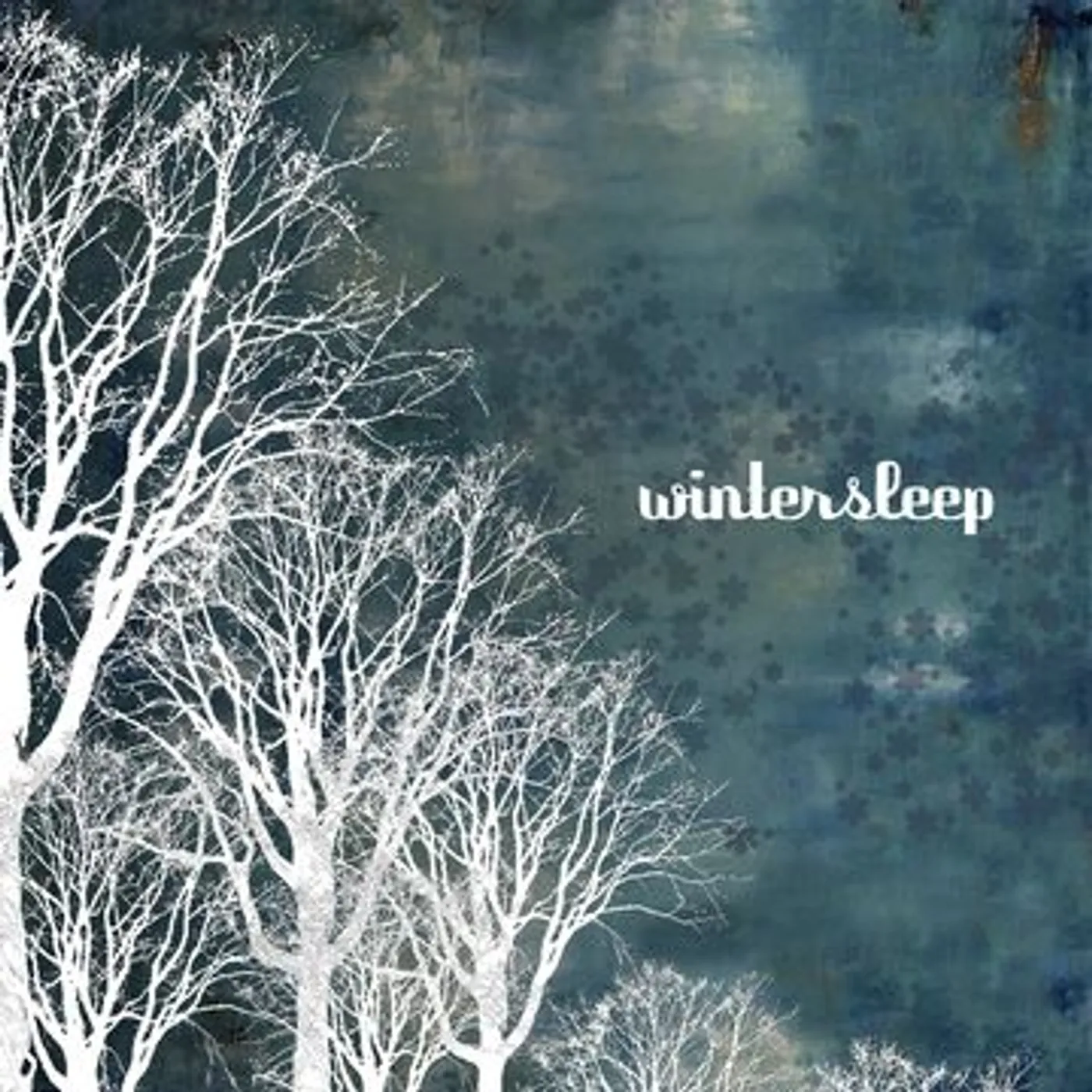 Wintersleep Vinyl Record
