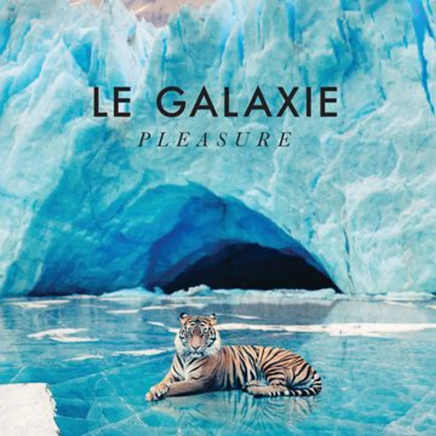 Le Galaxie Pleasure Vinyl Record