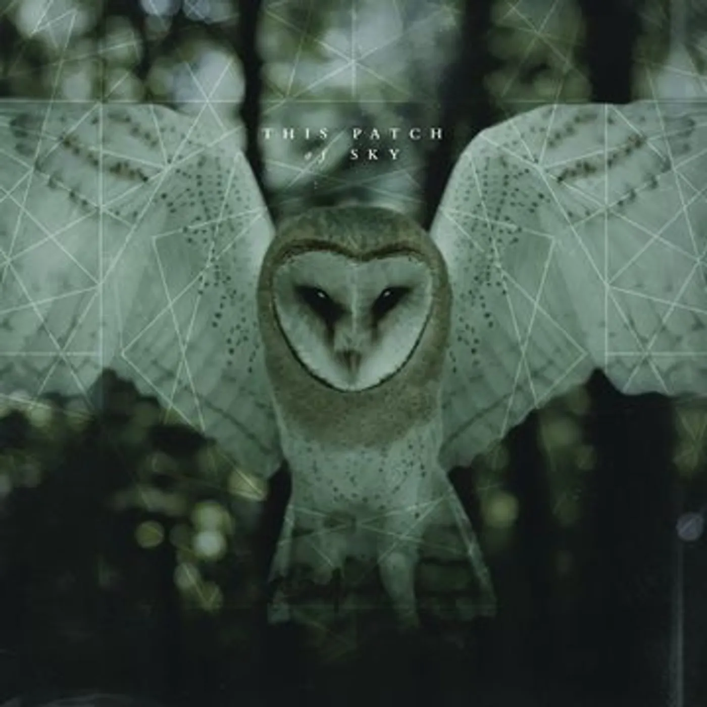 This Patch Of Sky Vinyl Record