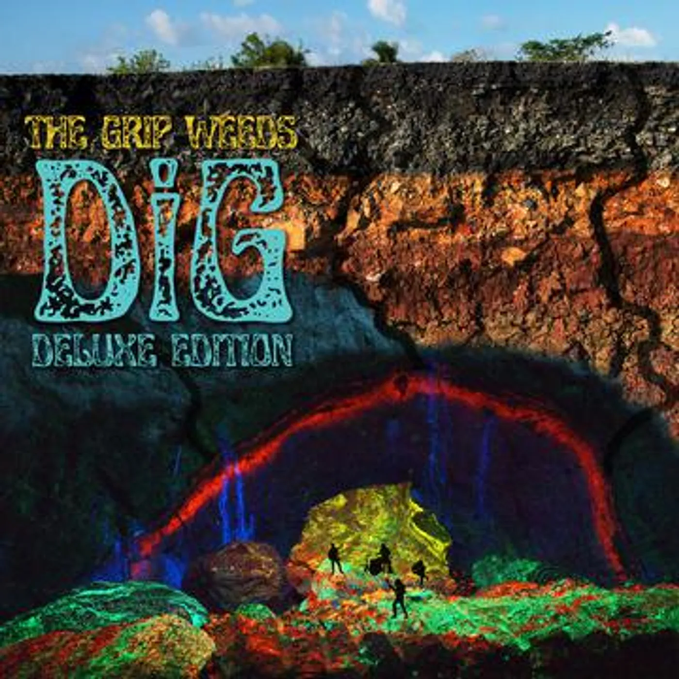 The Grip Weeds Dig Vinyl Record