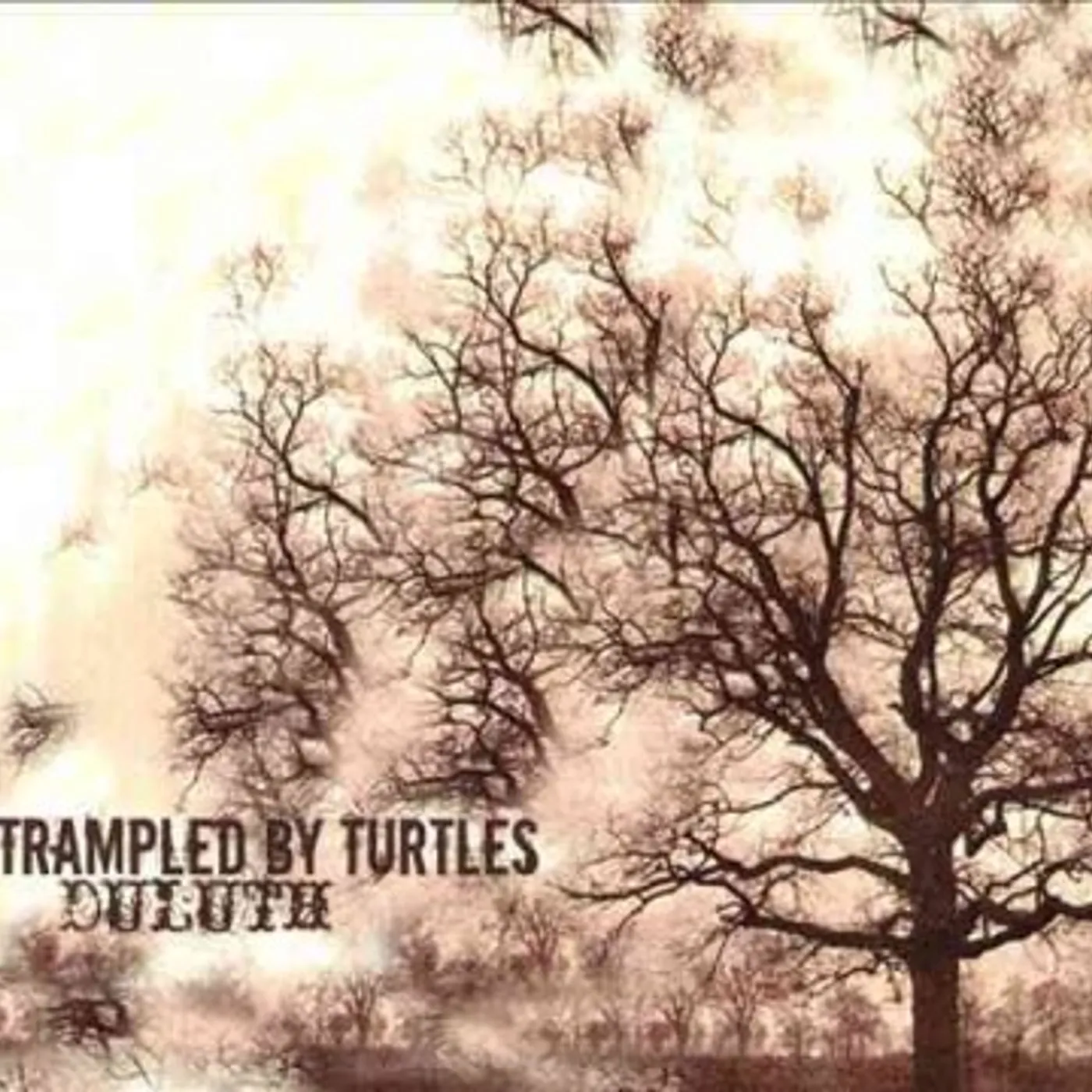 Trampled by Turtles Duluth Vinyl Record