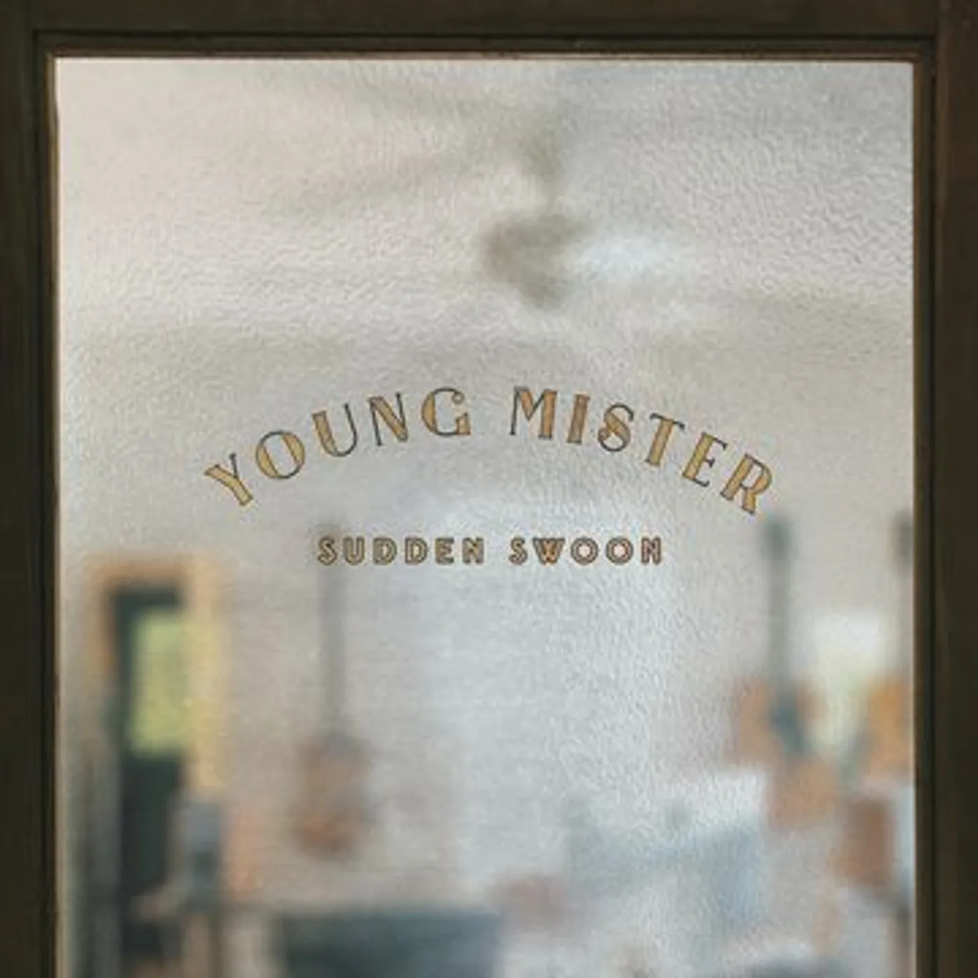 Young Mister Sudden Swoon Vinyl Record