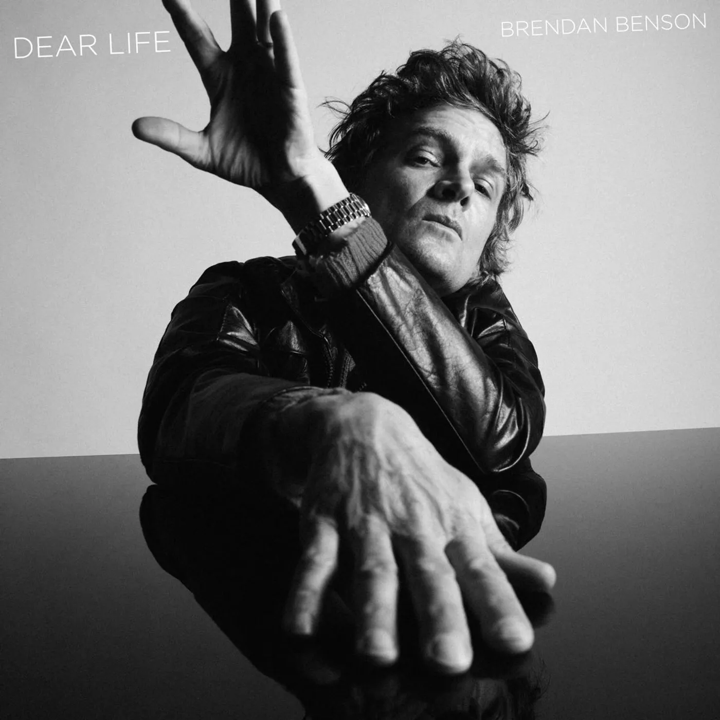 Brendan Benson Dear Life Vinyl Record