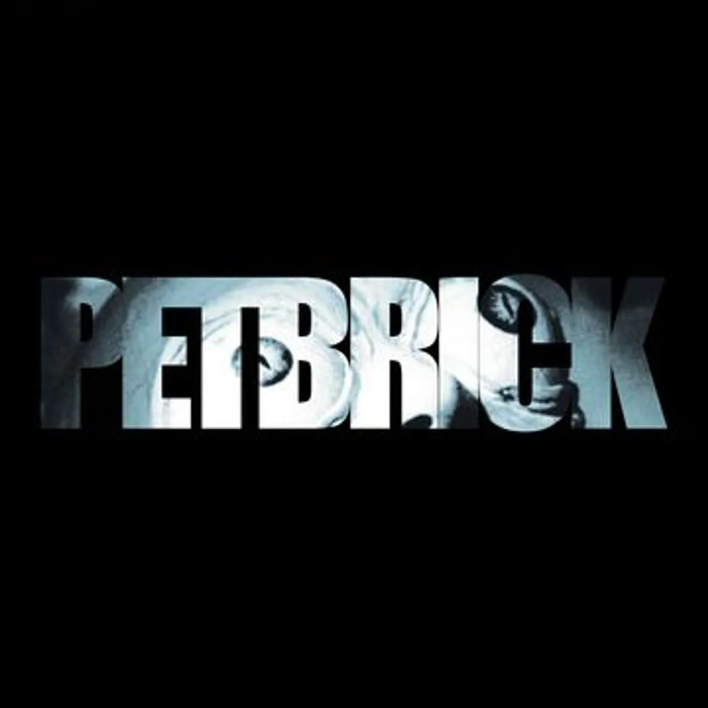 Petbrick Vinyl Record