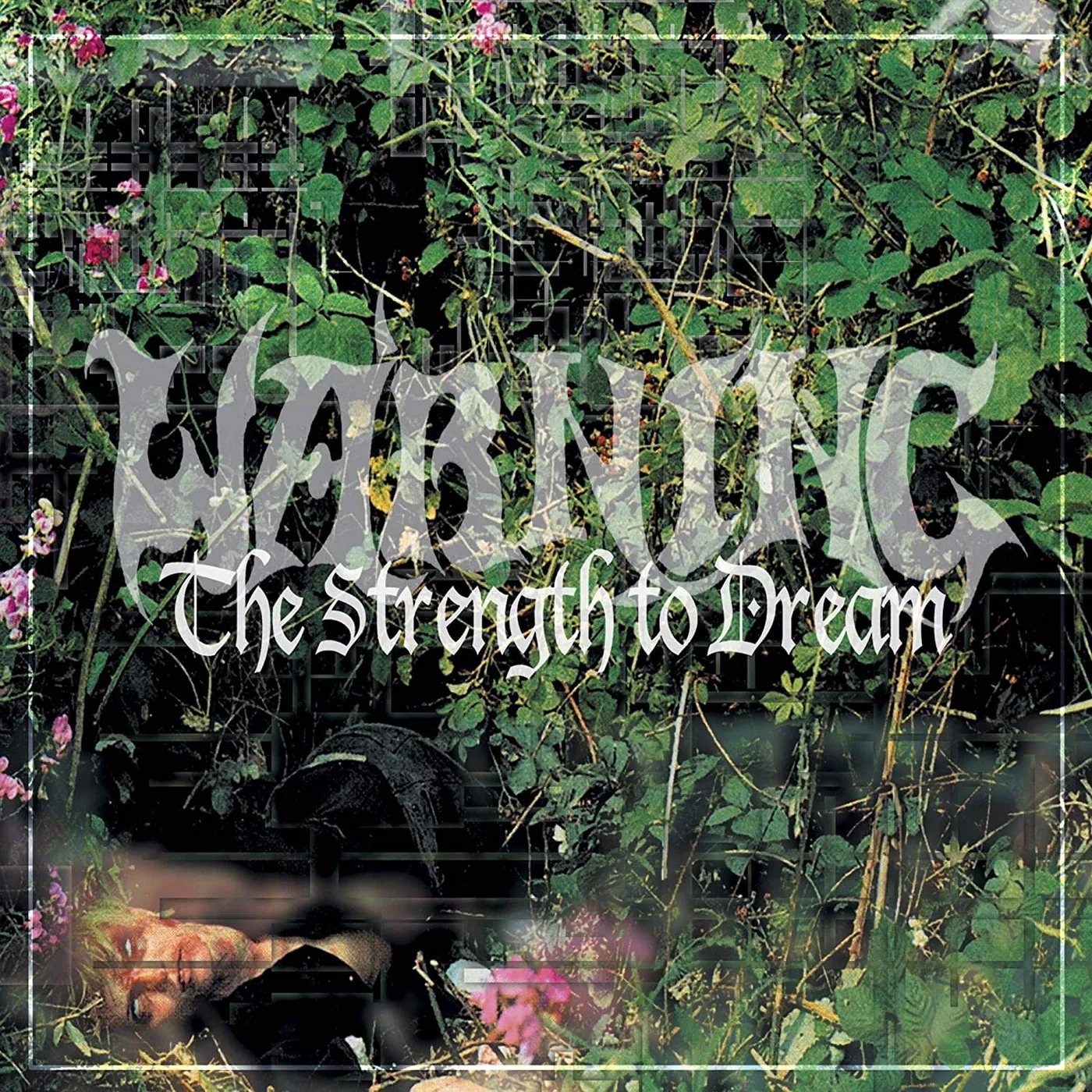 Warning The Strength To Dream Vinyl Record