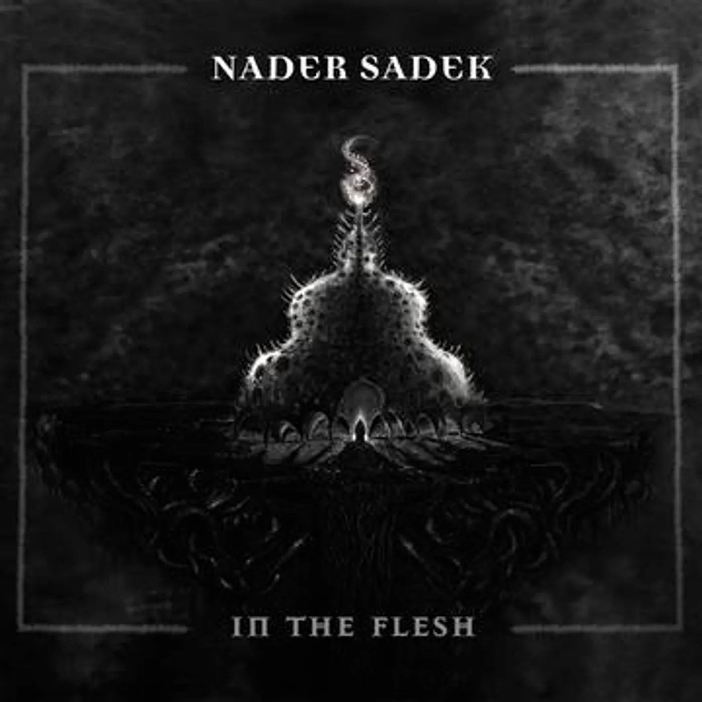 Nader Sadek In The Flesh Vinyl Record