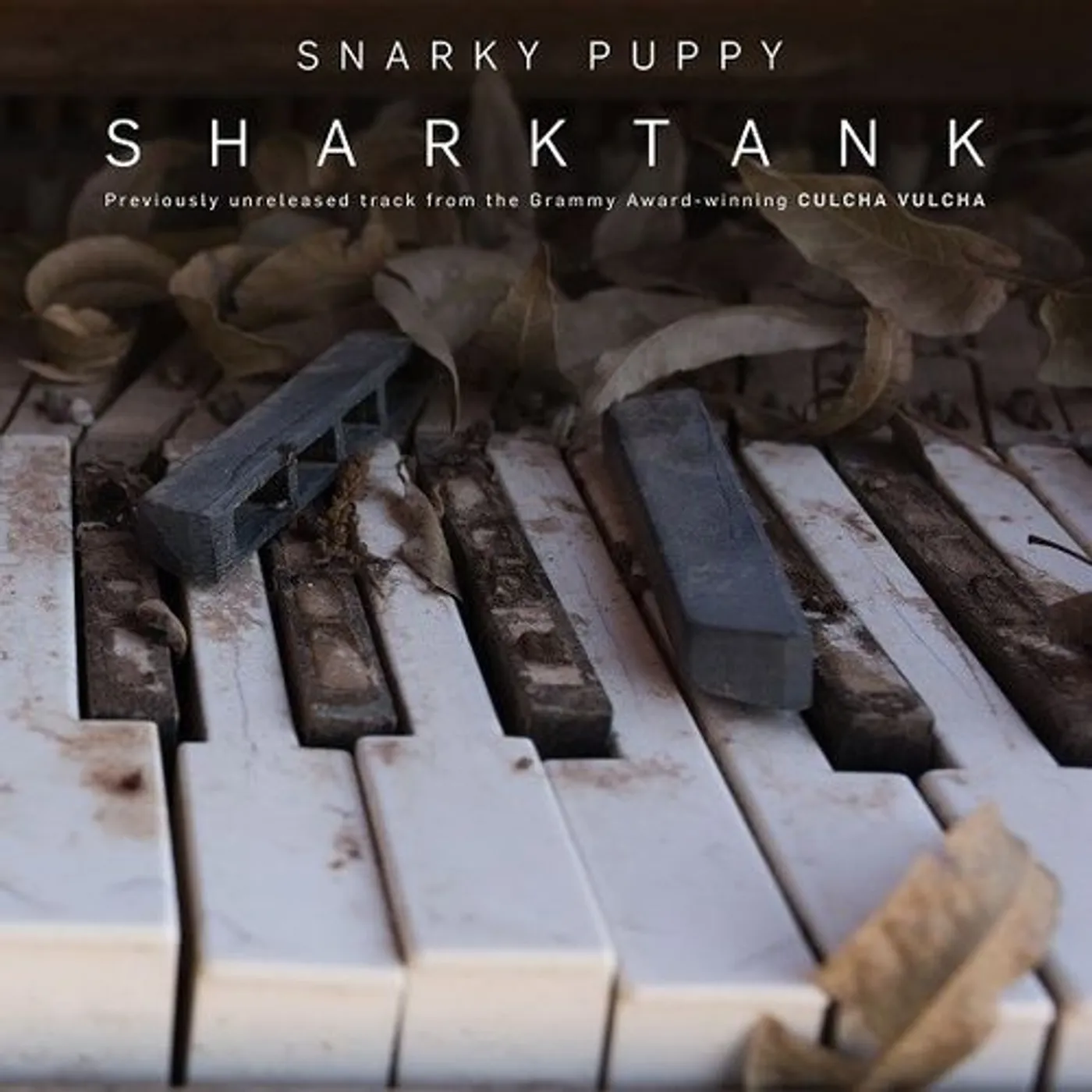 Snarky Puppy Sharktank Vinyl Record