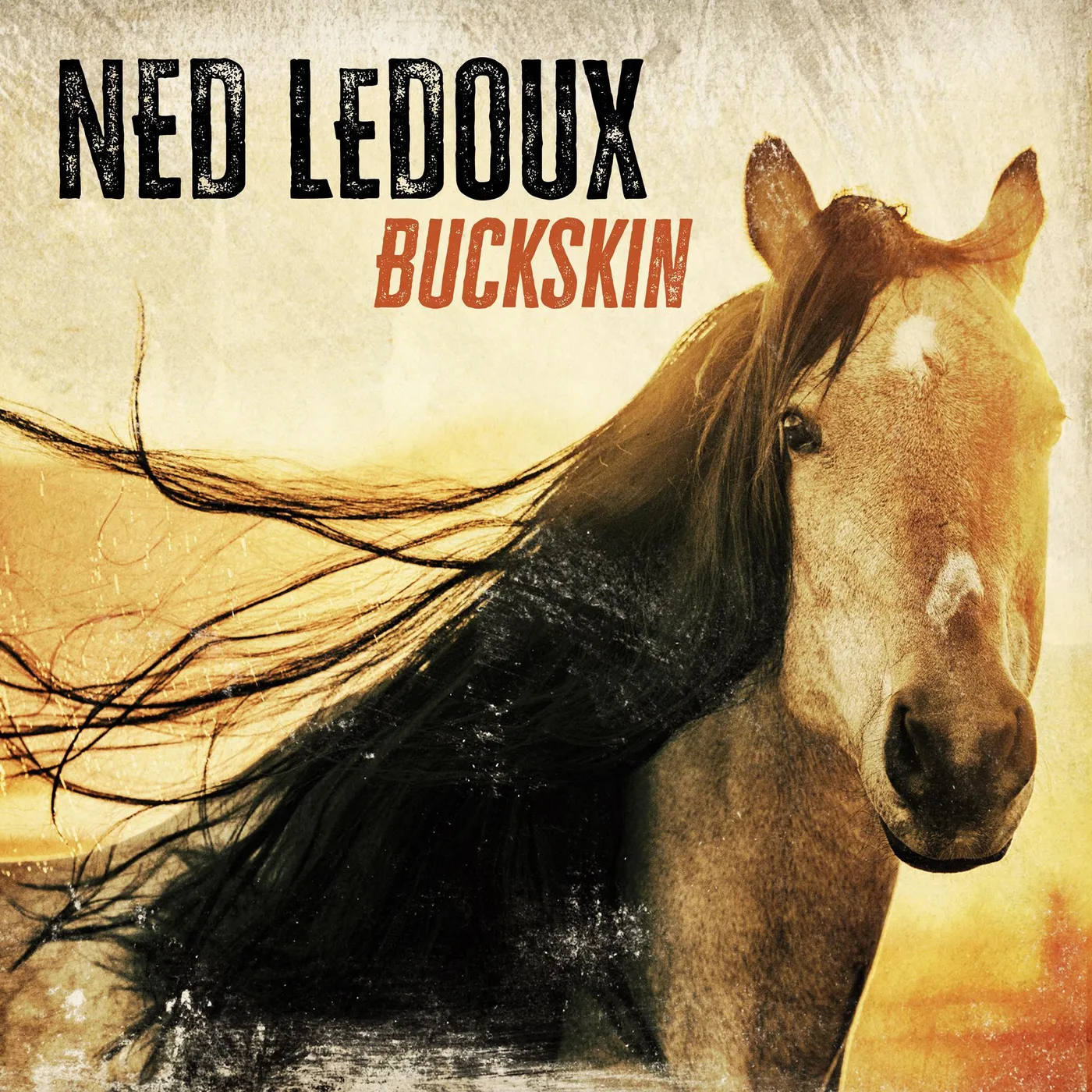 Ned LeDoux Buckskin Vinyl Record