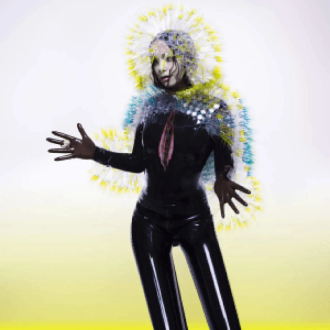 Björk Vulnicura Vinyl Record