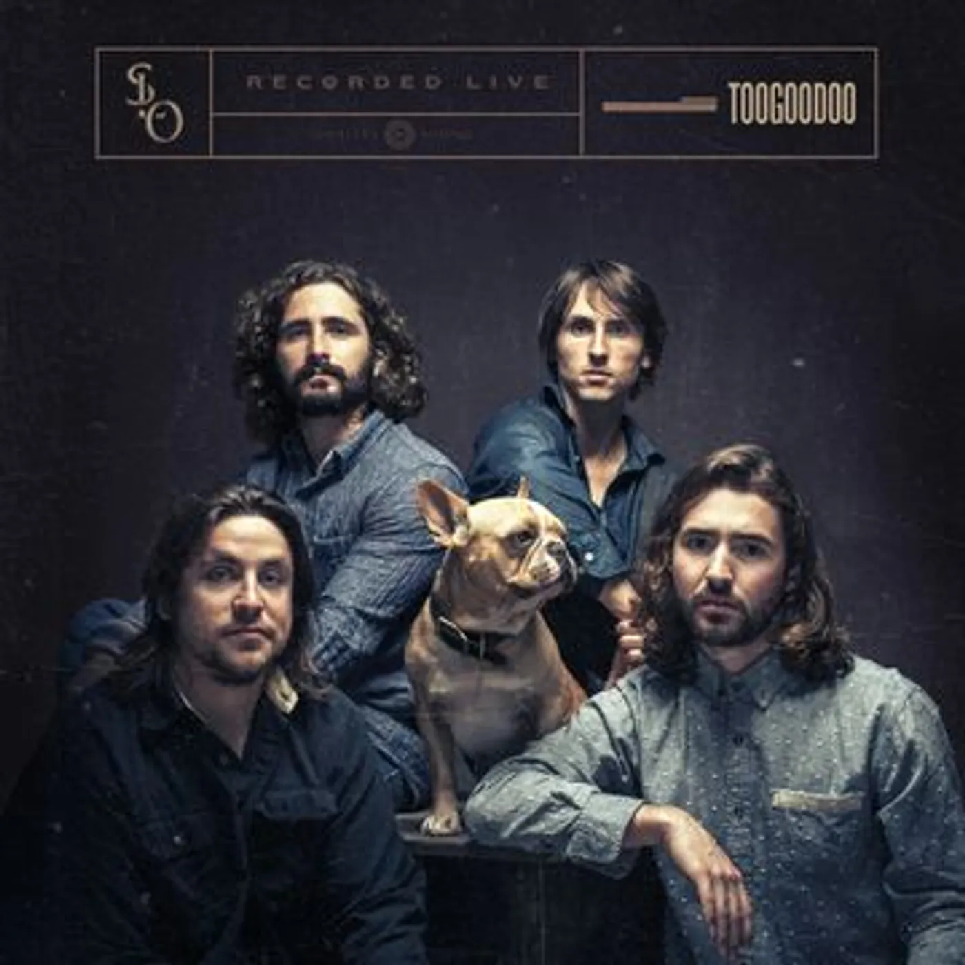 Stop Light Observations Toogoodoo Vinyl Record