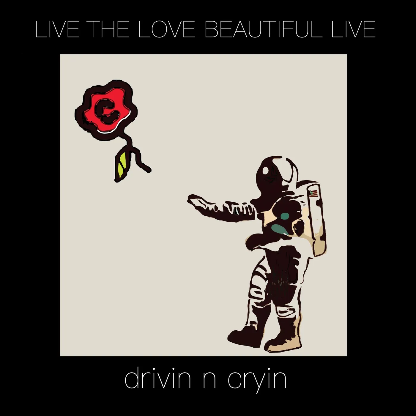 Drivin N Cryin Live the Love Beautiful Live Vinyl Record