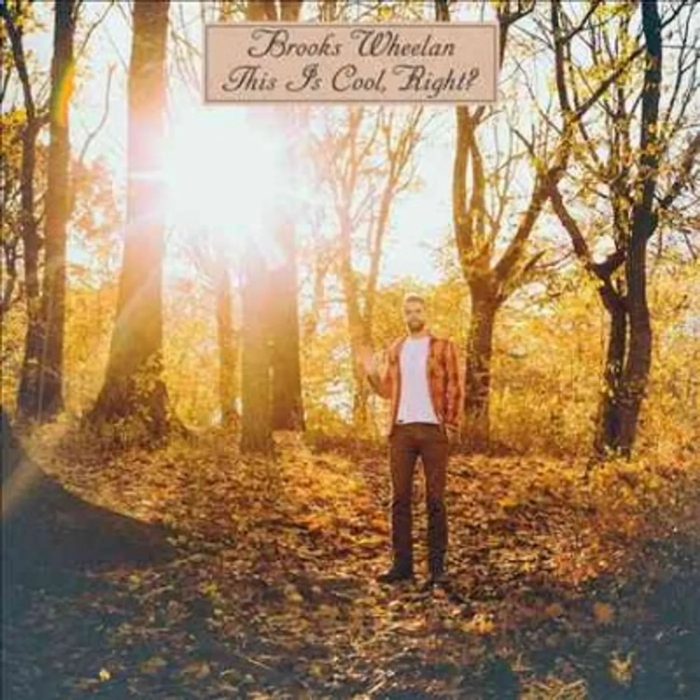Brooks Wheelan THIS IS COOL RIGHT Vinyl Record