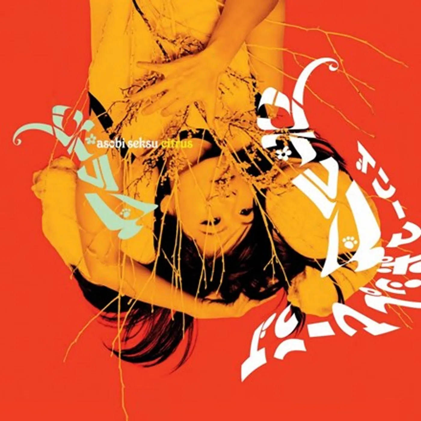 Asobi Seksu Citrus Vinyl Record