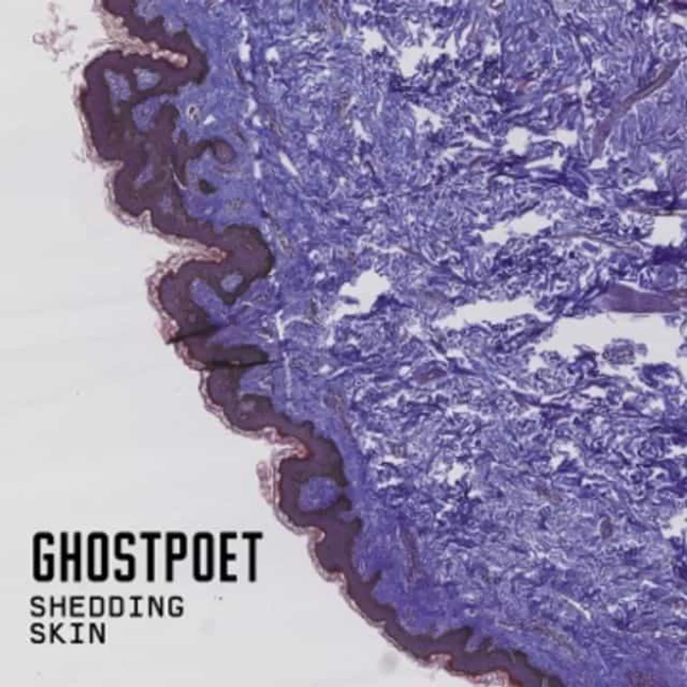Ghostpoet Shedding skin Vinyl Record