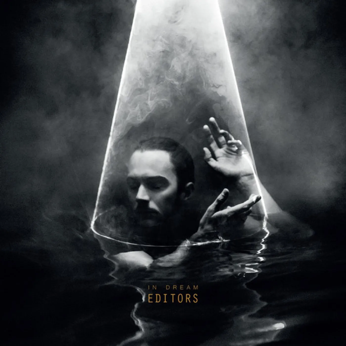 Editors In Dream Vinyl Record