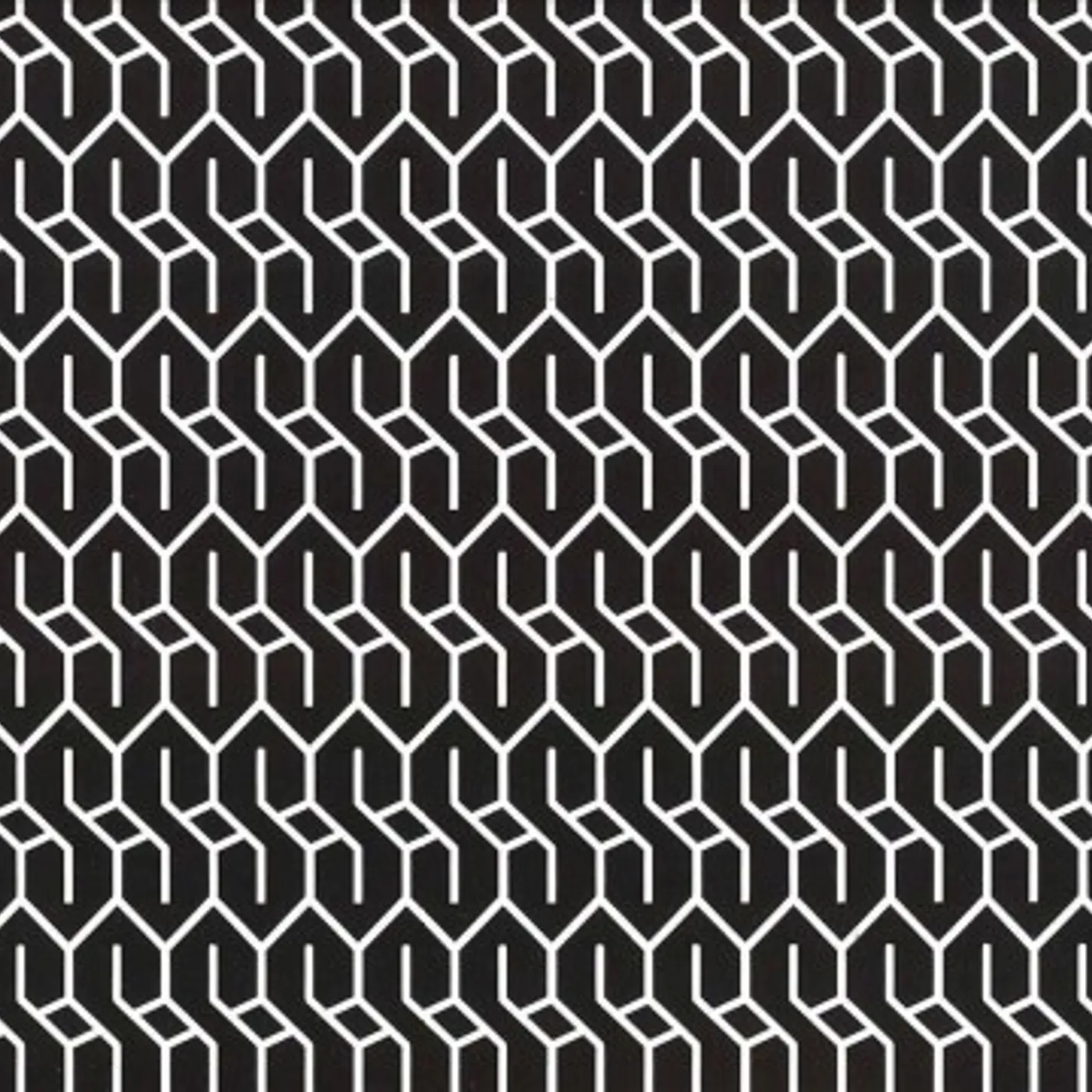 Black Kids Rookie CD