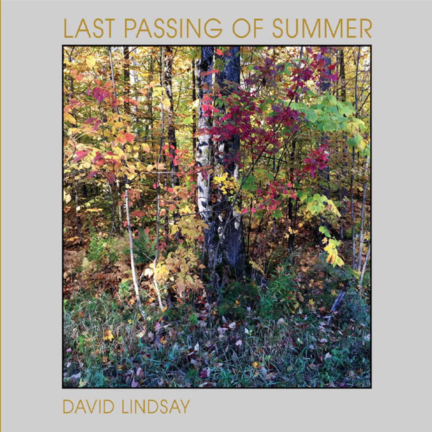 David Lindsay Last Passing of Summer CD