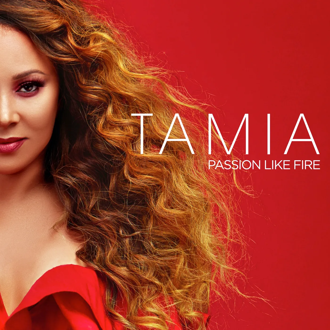Tamia Passion Like Fire CD