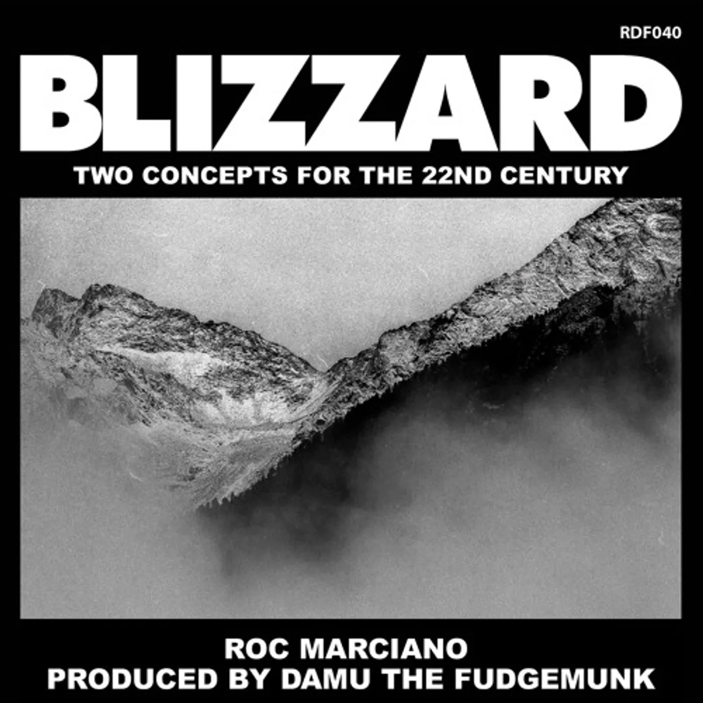 Roc Marciano Blizzard Vinyl Record