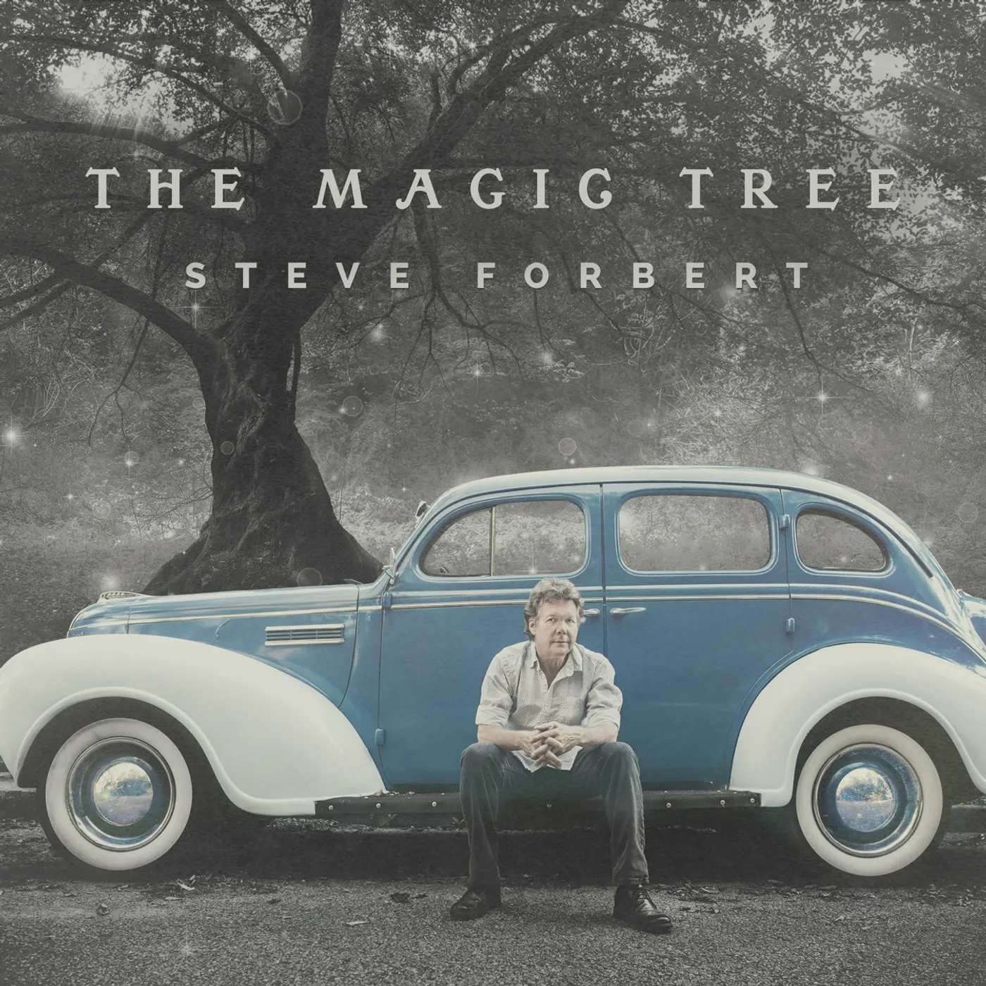 Steve Forbert MAGIC TREE CD