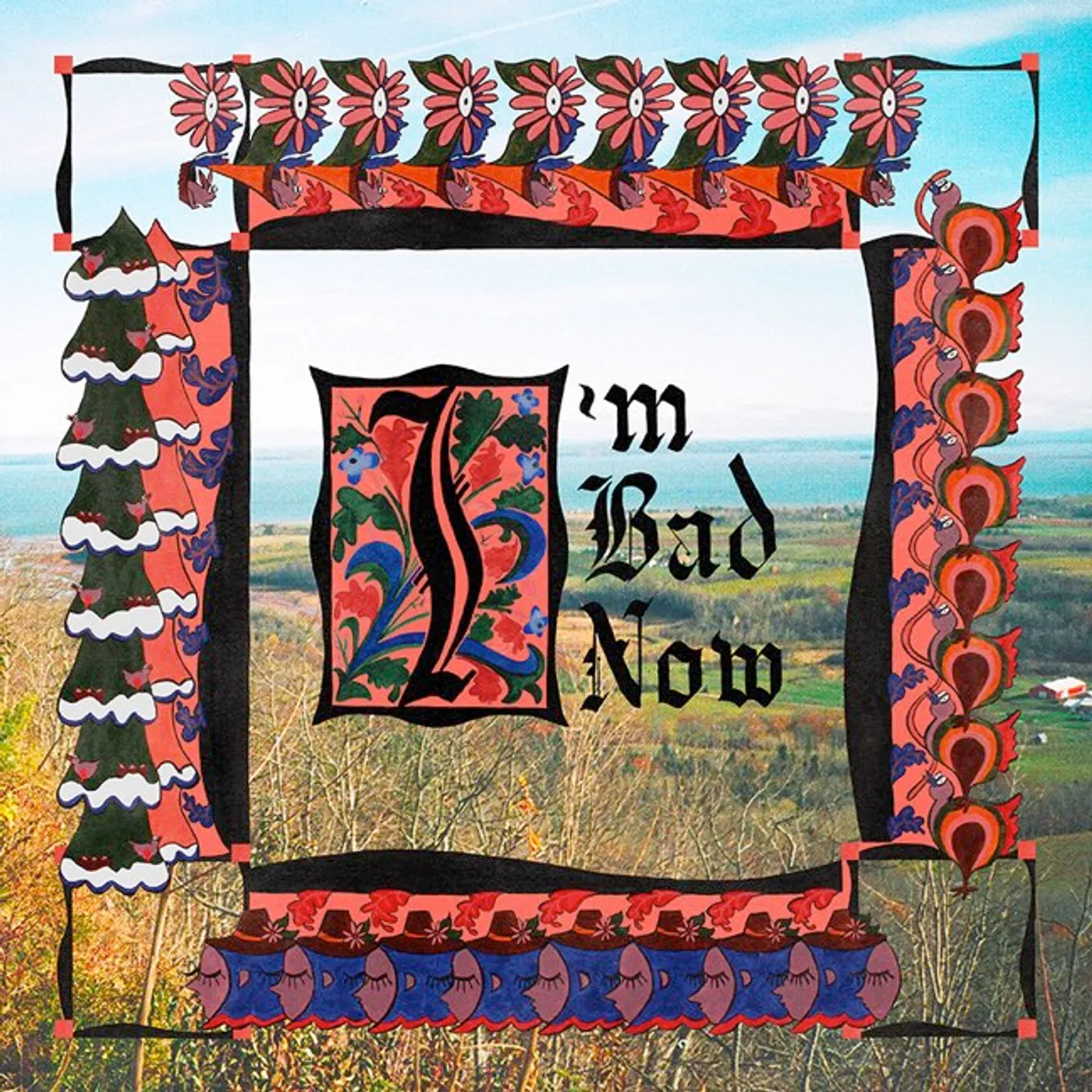 Nap Eyes I'M BAD NOW CD