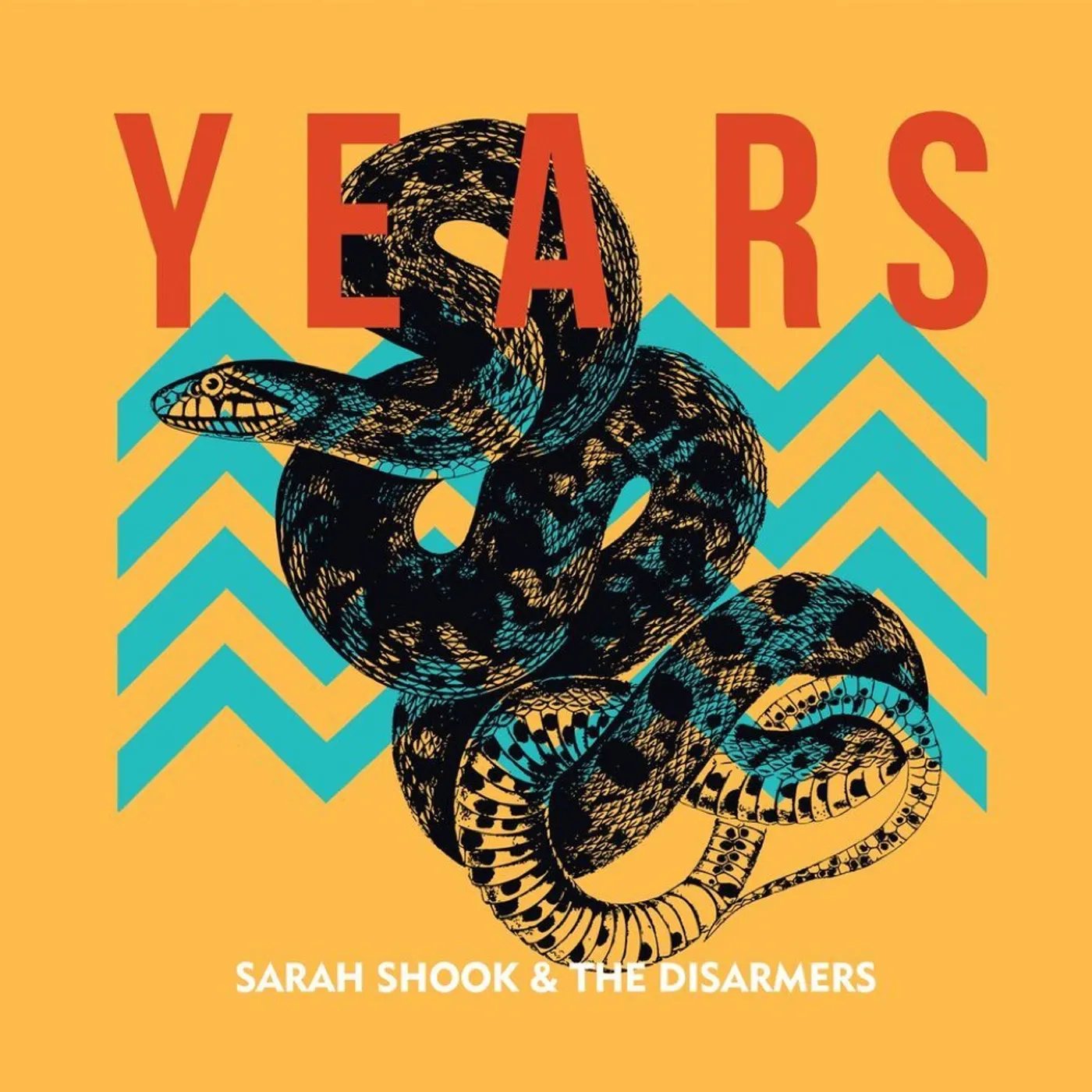 Sarah Shook & the Disarmers YEARS CD