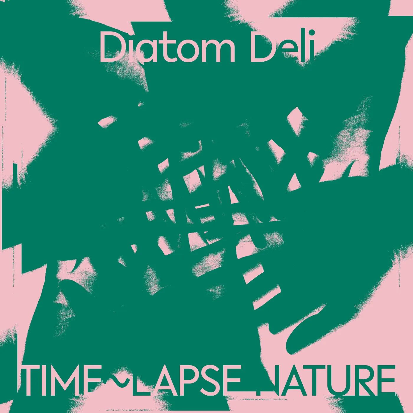 Diatom Deli Time Lapse Nature CD