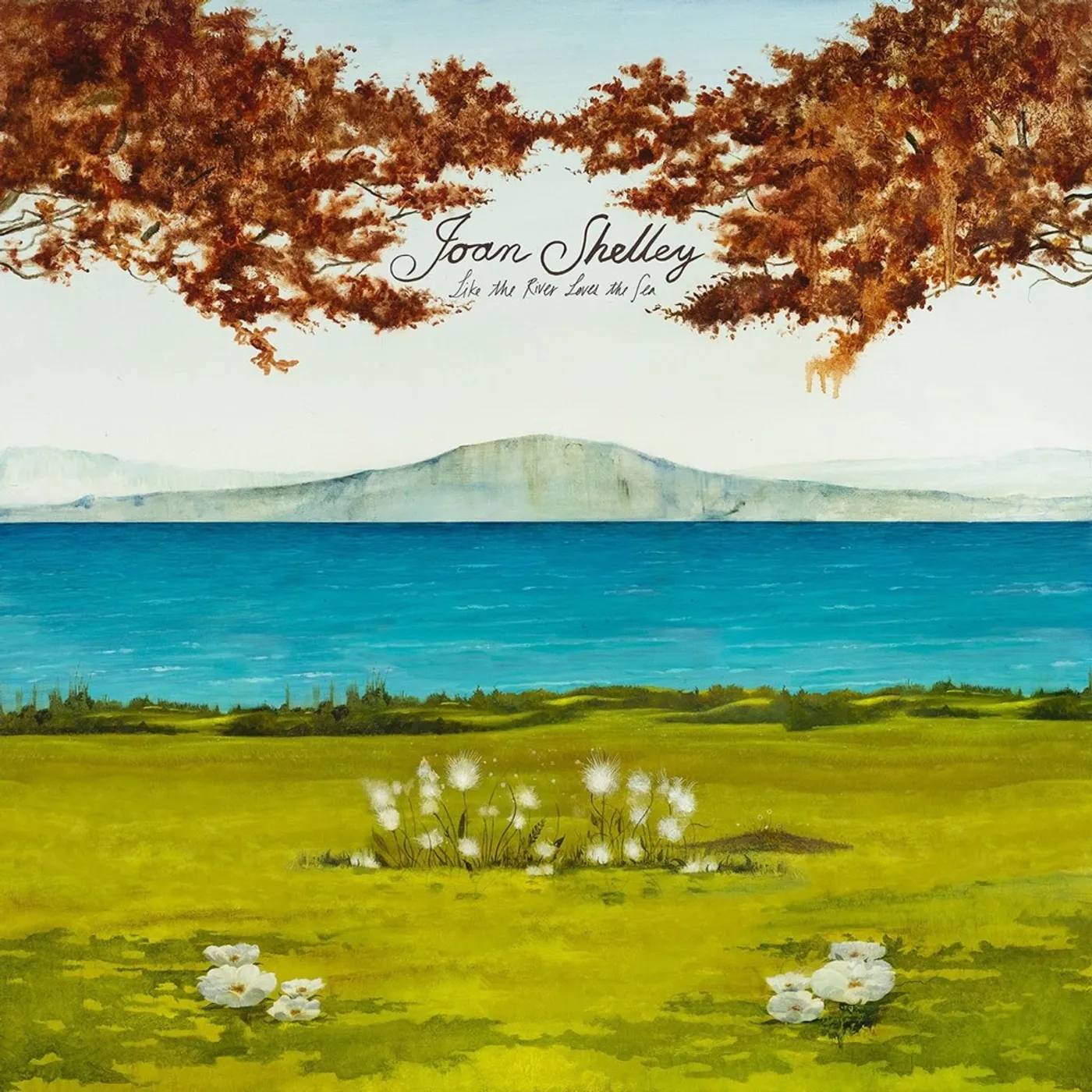 Joan Shelley LIKE THE RIVER LOVES THE SEA CD