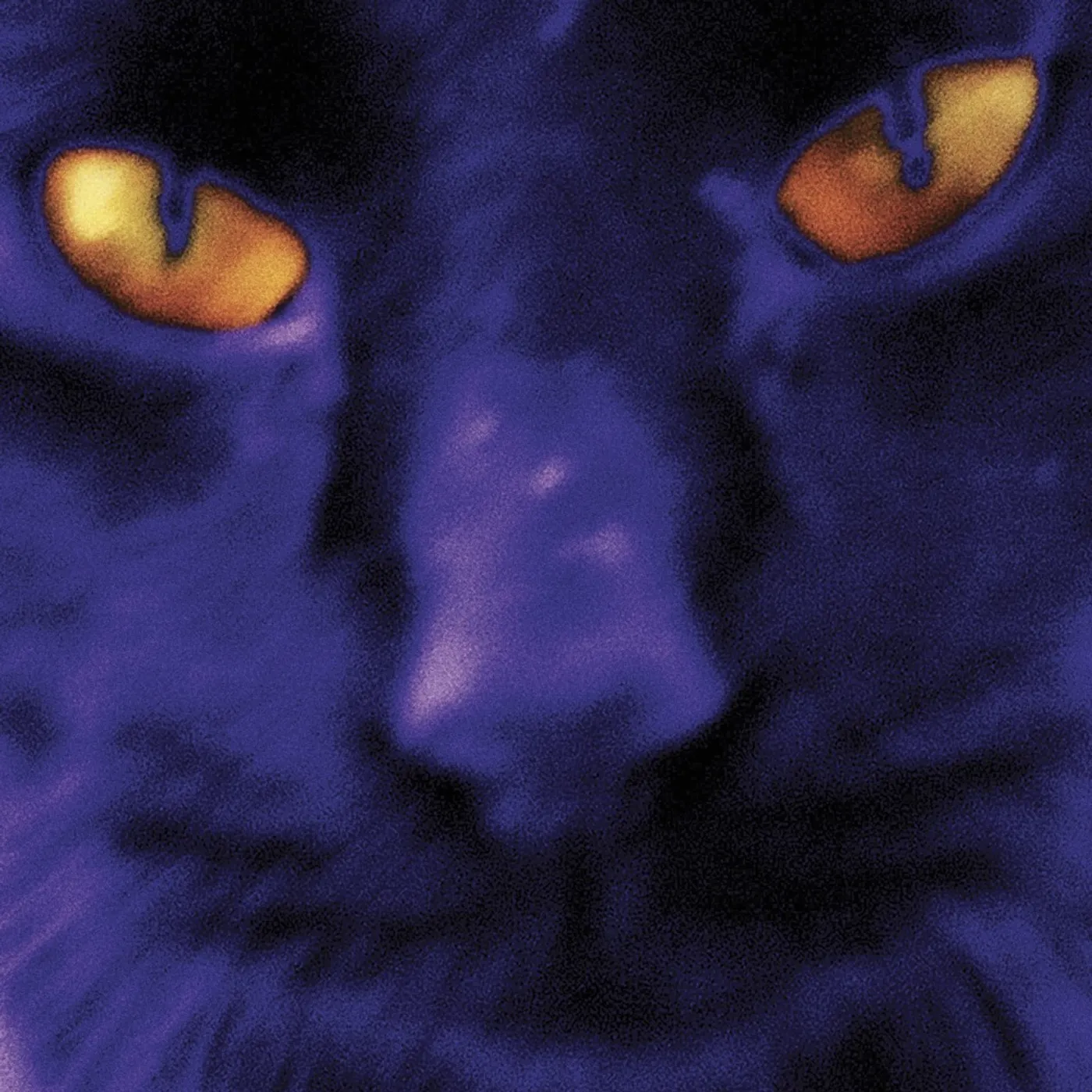 David Kilgour And The Heavy Eights BOBBIE'S A GIRL CD