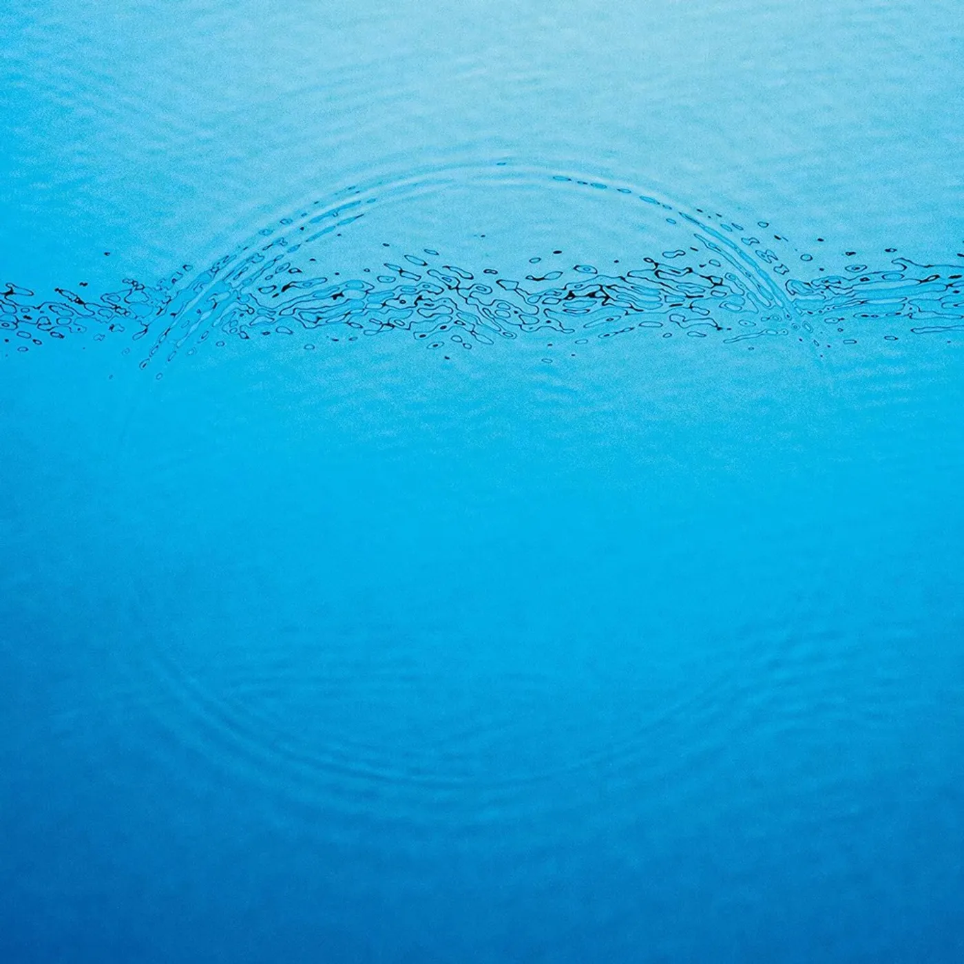 Caribou SUDDENLY (MATTE WALLET) CD