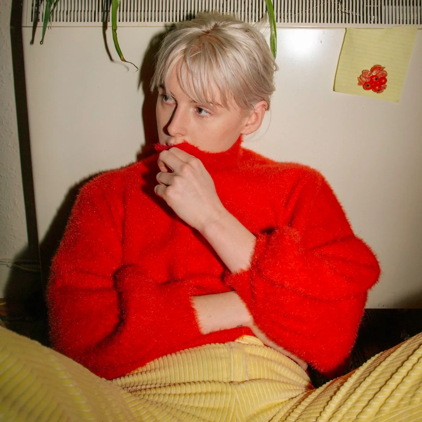 Fenne Lily BREACH CD