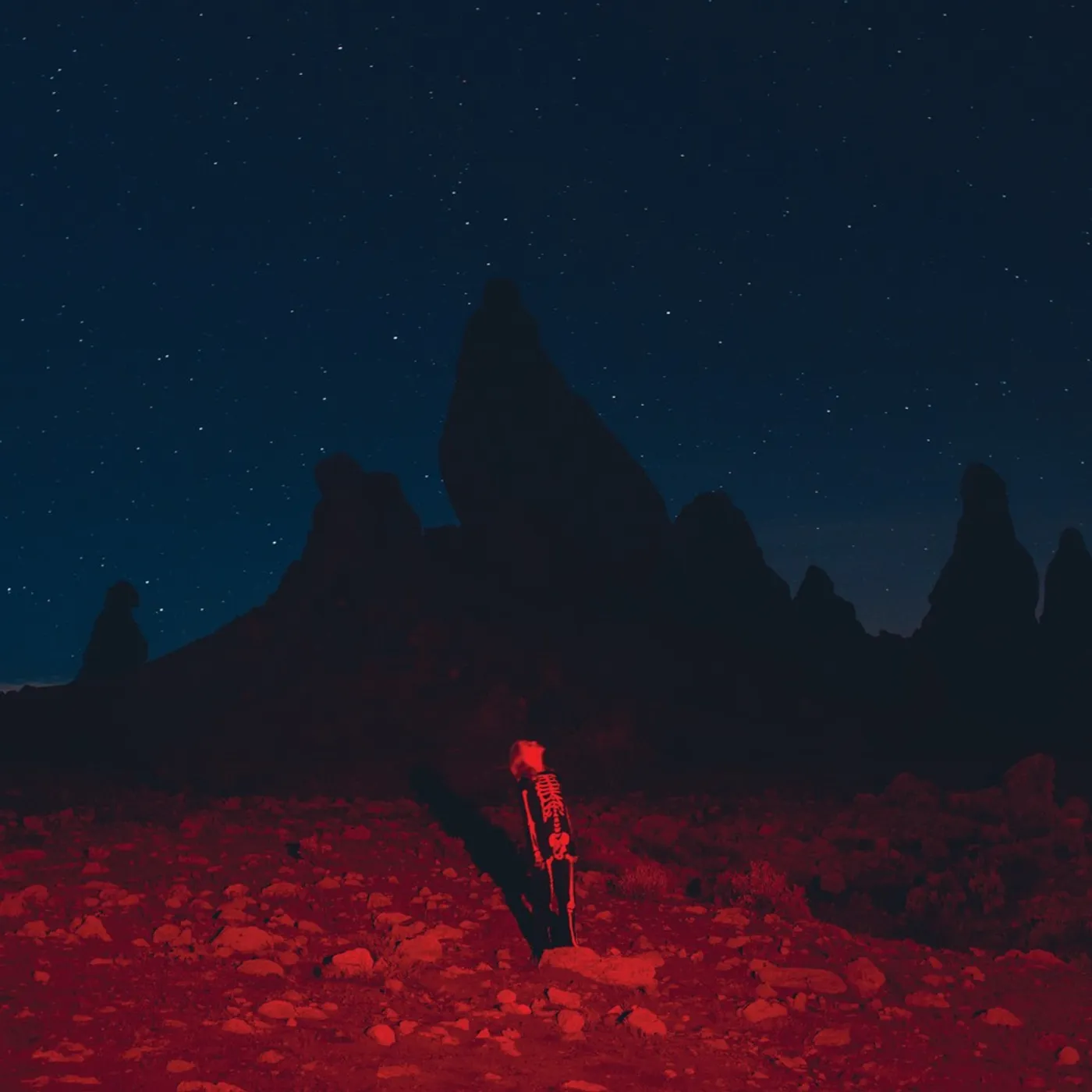 Phoebe Bridgers PUNISHER CD