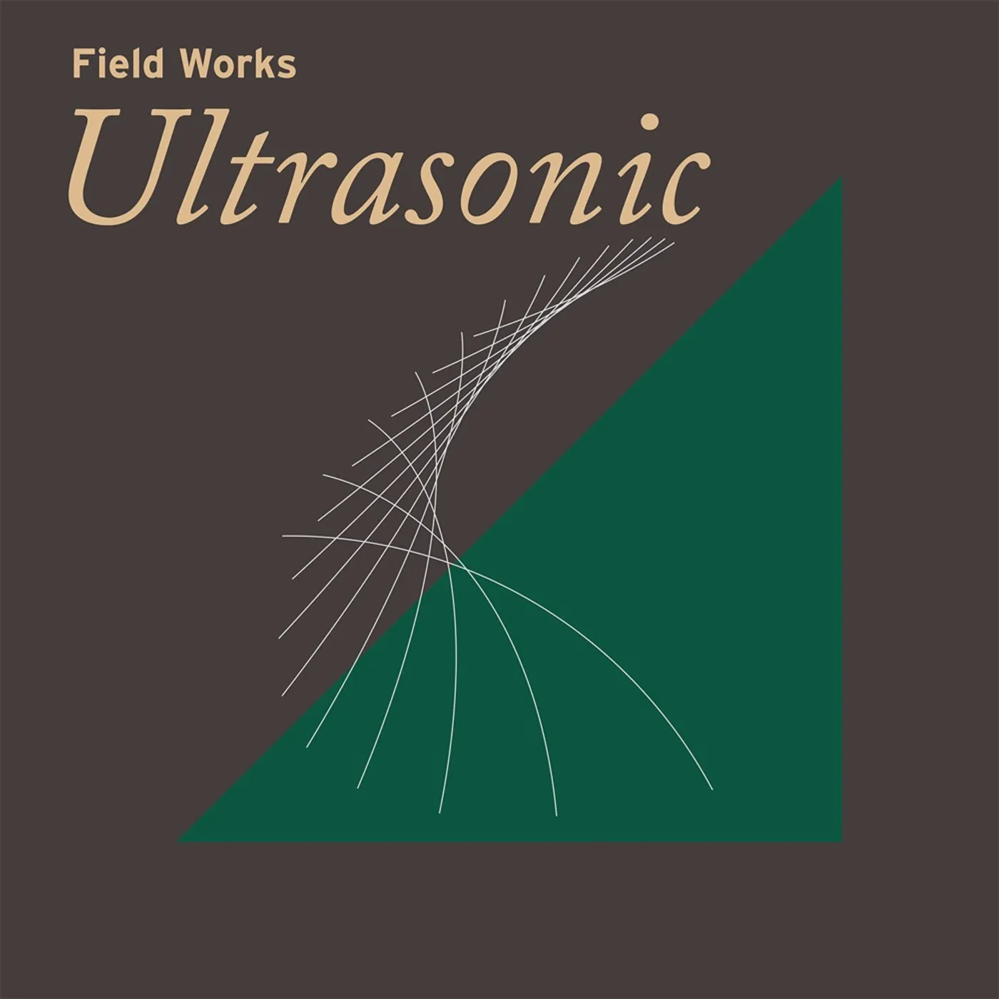 FIELD WORKS: ULTRASONIC / VARIOUS CD