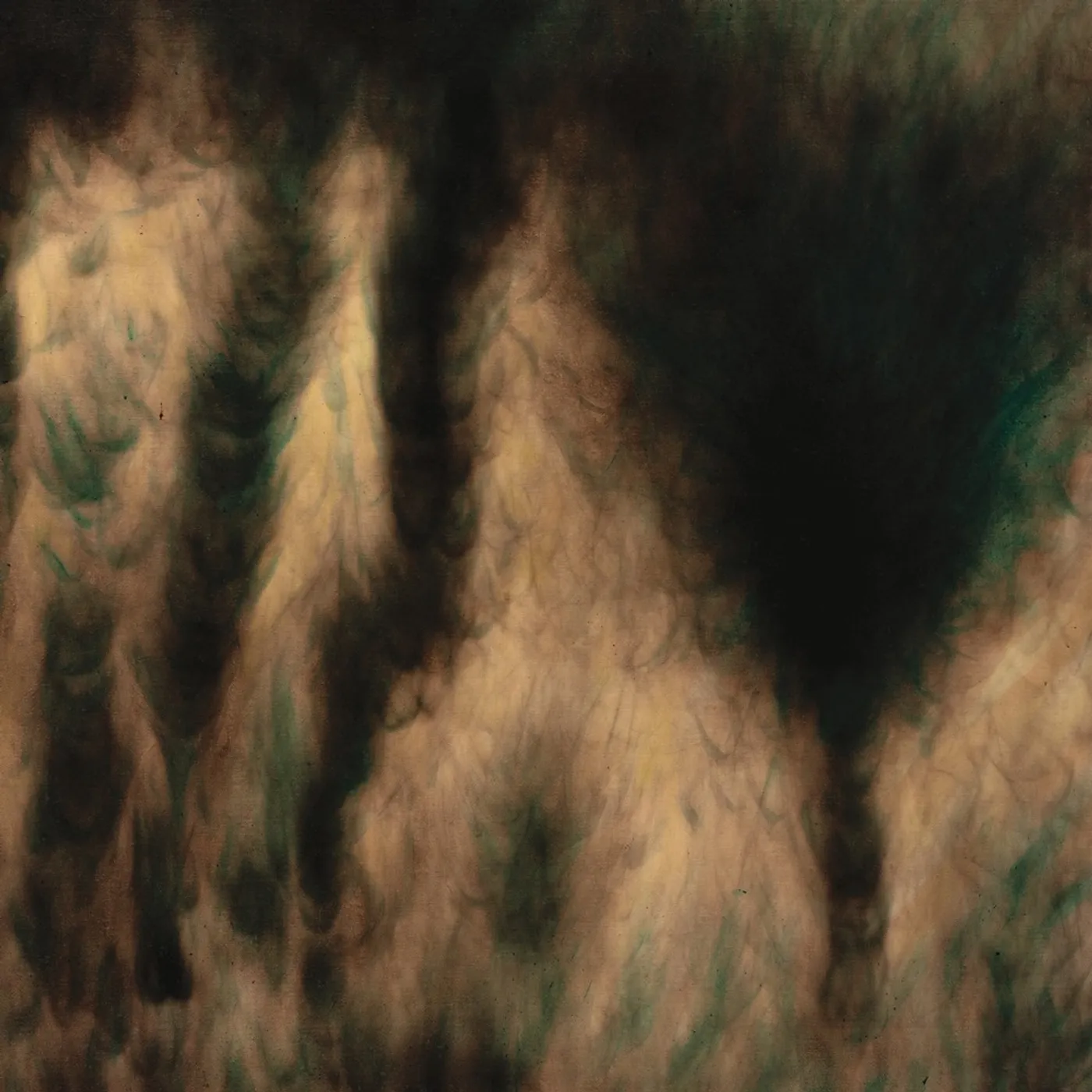 William Basinski LAMENTATIONS CD