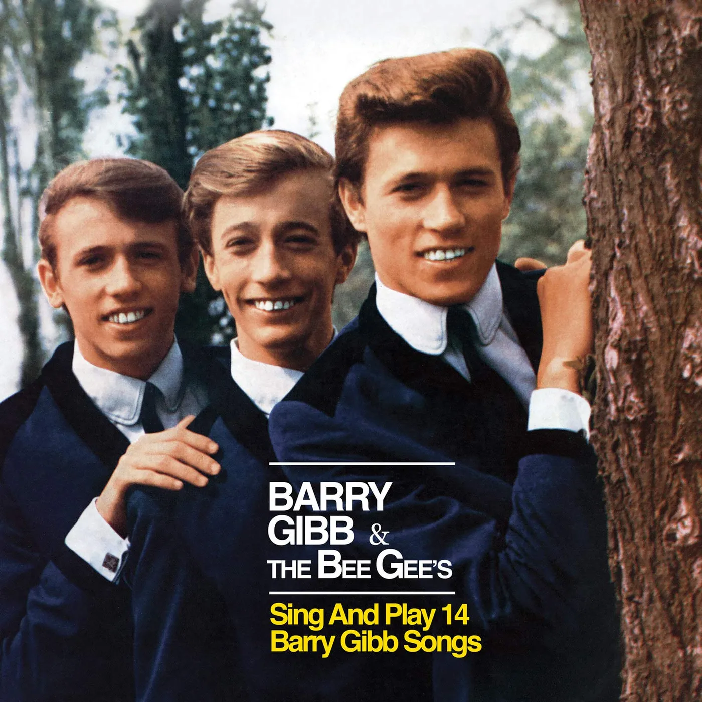 BARRY GIBB & THE BEE GEES SING & PLAY 14 CD