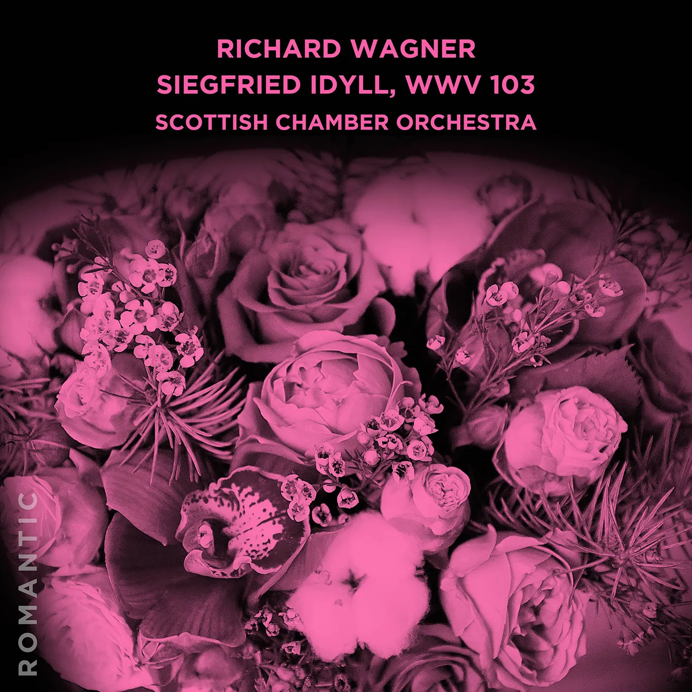 Scottish Chamber Orchestra SIEGFRIED IDYLL WWV 103 CD