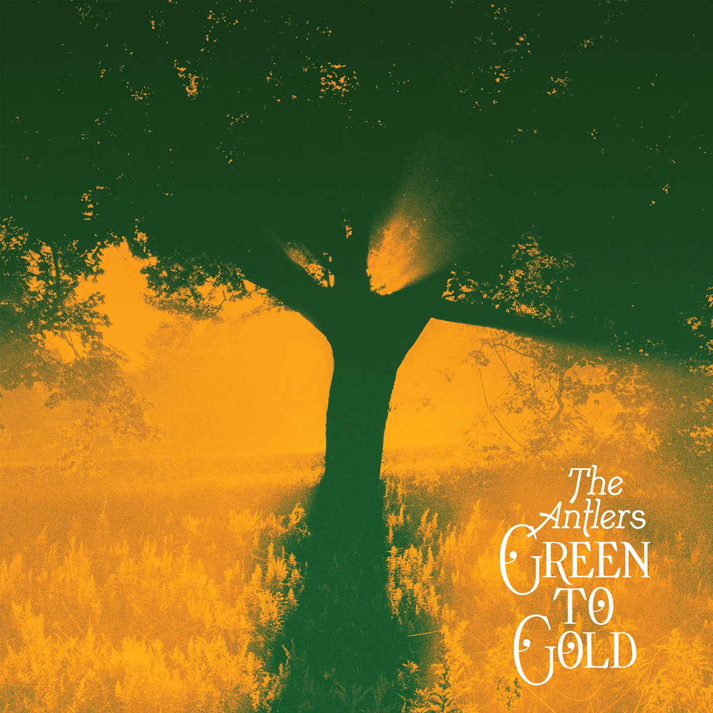 Antlers GREEN TO GOLD CD