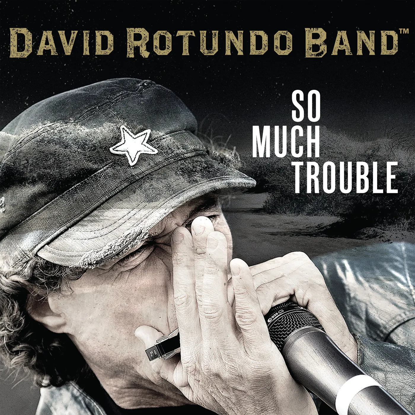 David Rotundo So Much Trouble CD