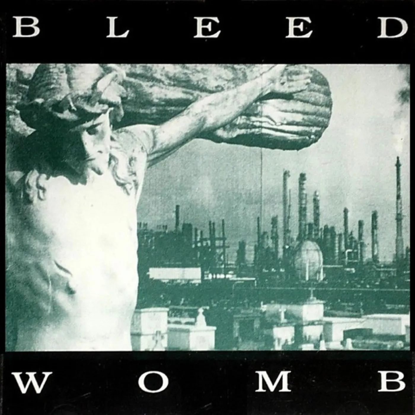 Bleed Womb Vinyl Record
